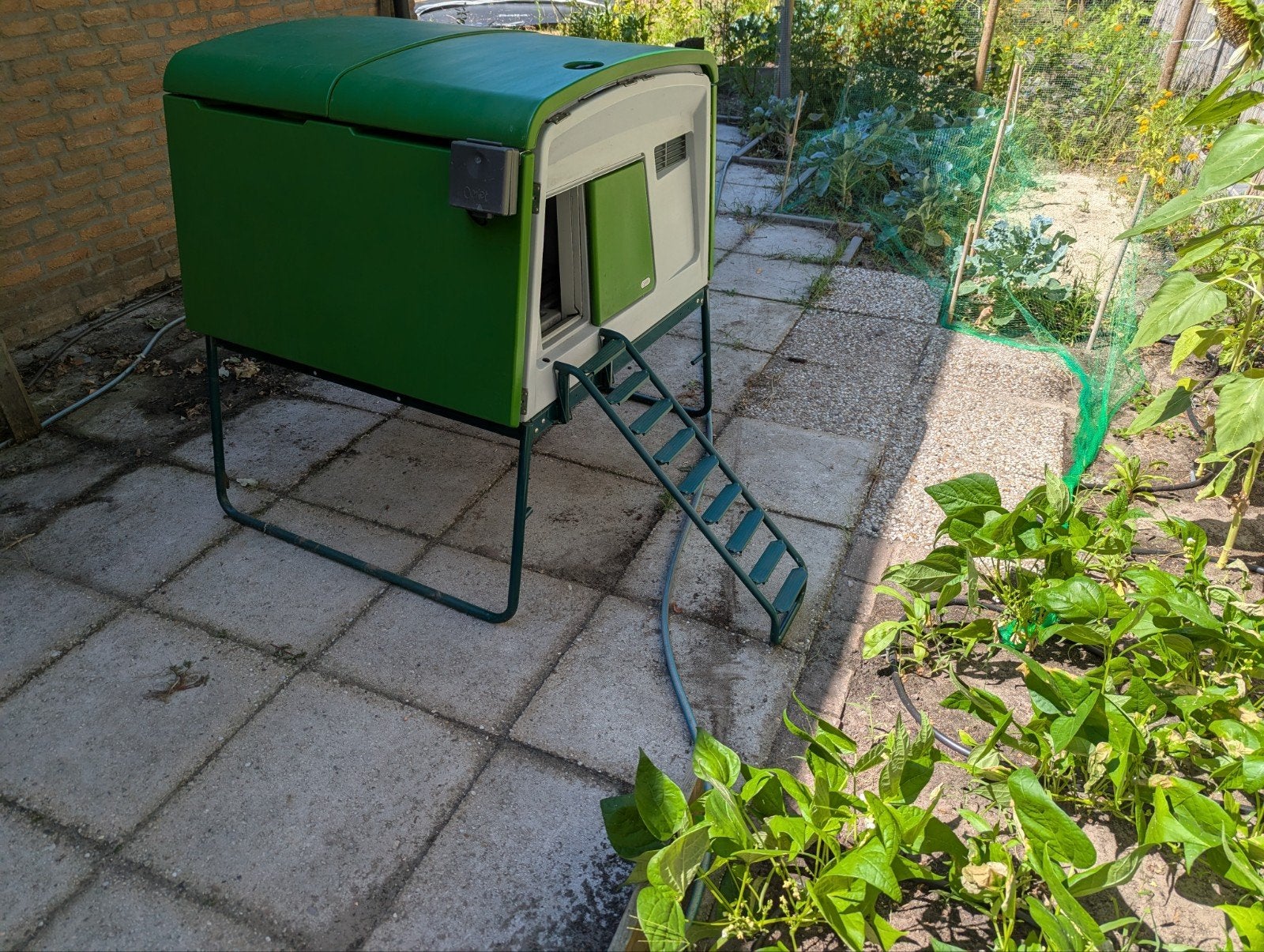 Eglu Cube - Kippenhok voor 6 grote kippen, Ophalen, Zo goed als nieuw, Kippenhok of Kippenren