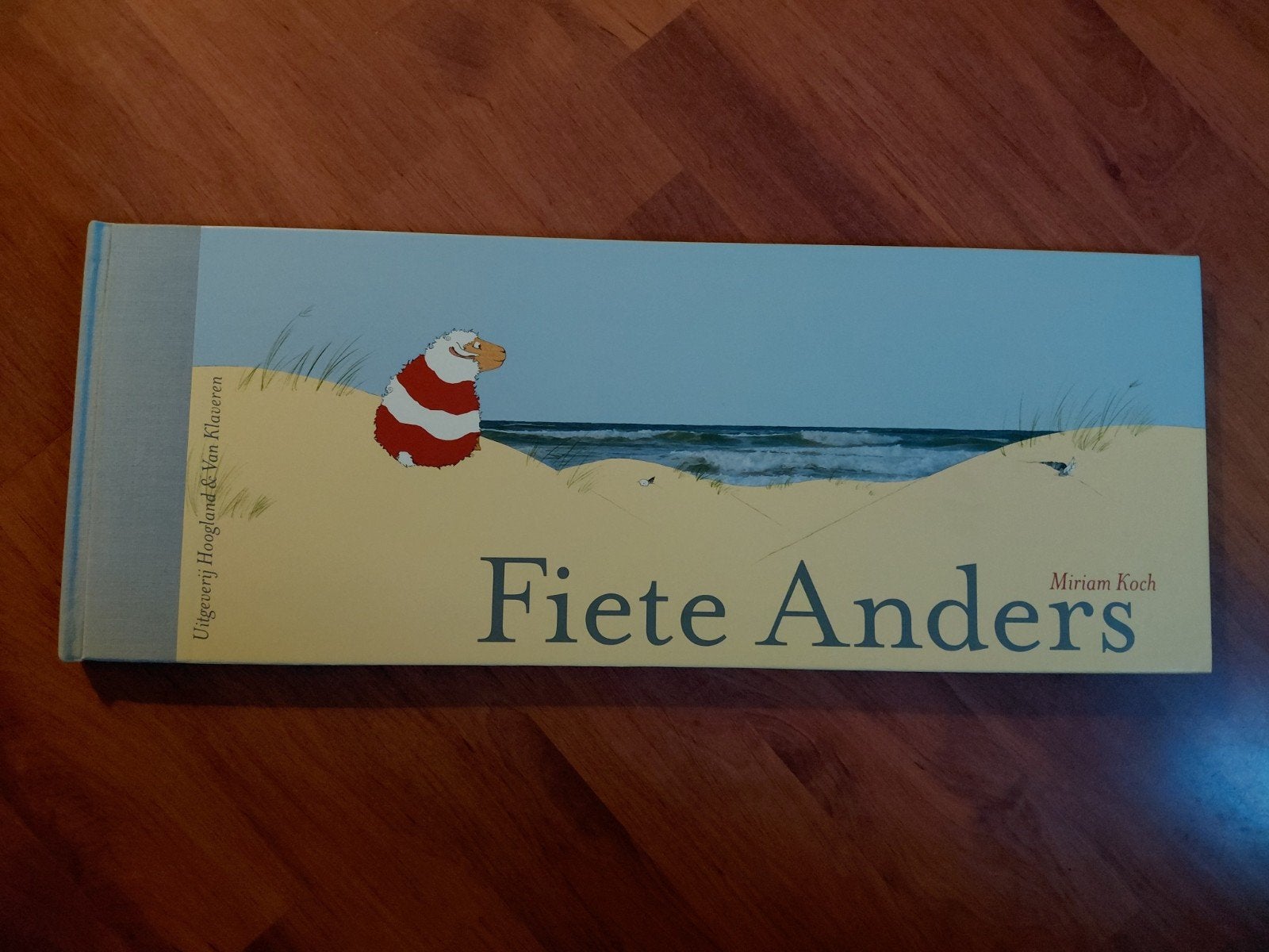 Fiete Anders - Extra groot formaat 47x18 cm - Miriam Koch, Boeken, Ophalen of Verzenden, Zo goed als nieuw, Miriam Koch, Fictie algemeen