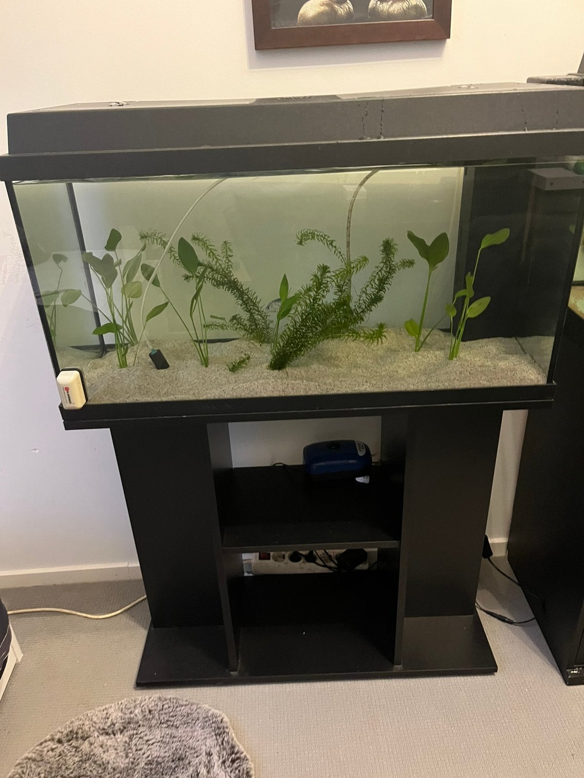 Aquarium, Ophalen of Verzenden, Zo goed als nieuw, Leeg aquarium