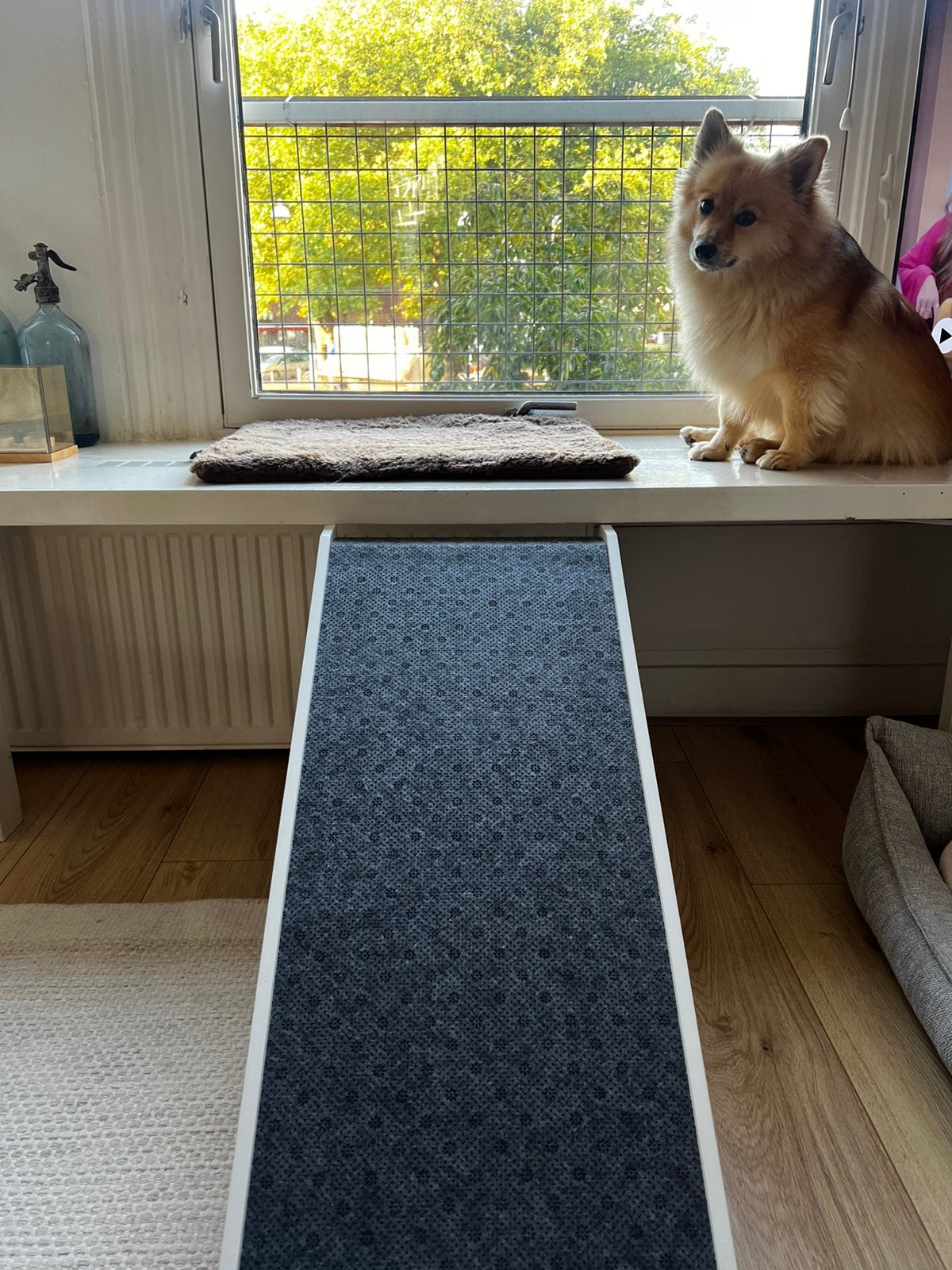 Hondentrap / loopplank - nieuw!, Dieren en Toebehoren, Ophalen, Zo goed als nieuw