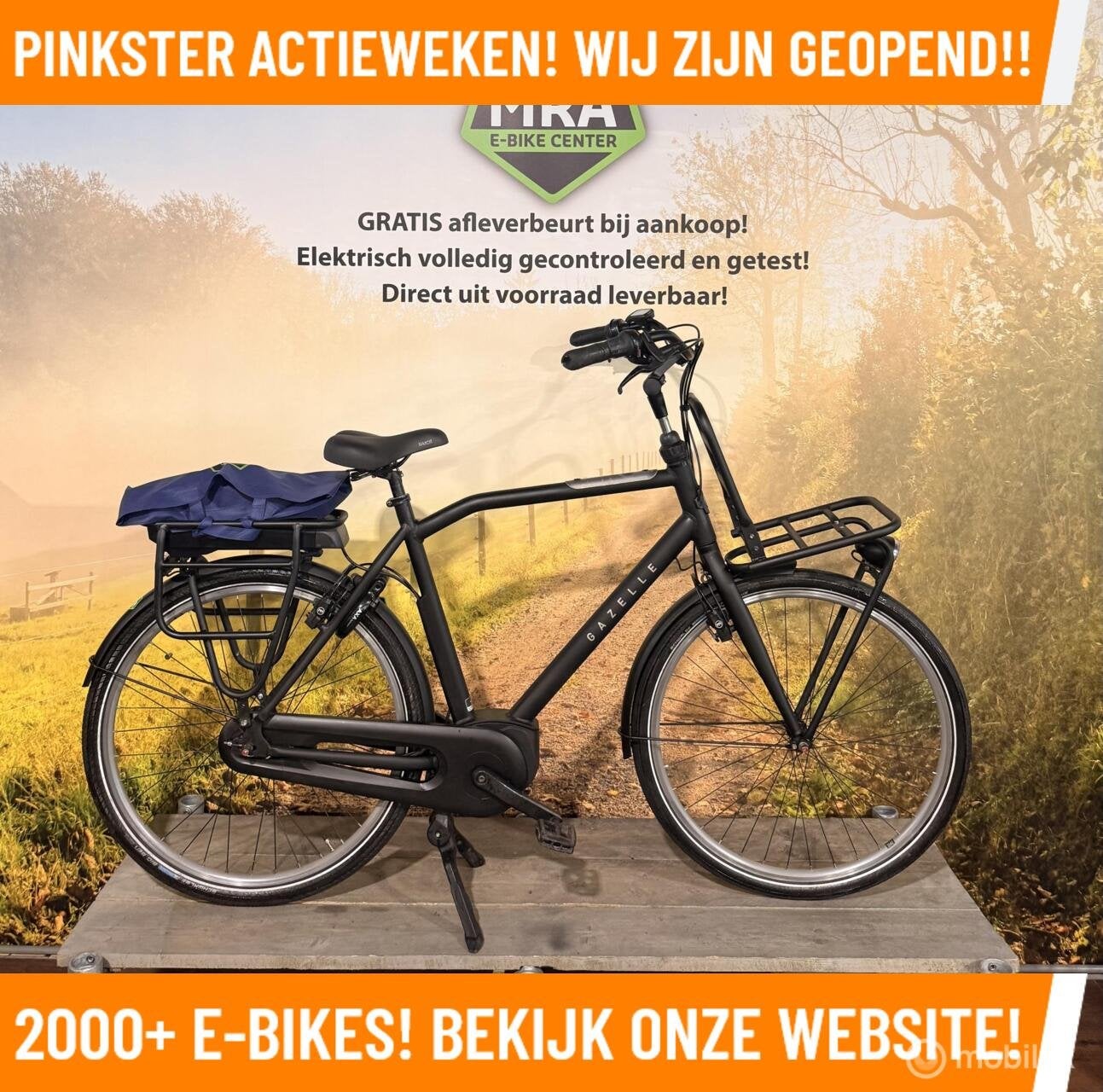 Gazelle Heavy Duty met BOSCH Active Line motor bij MRA EBIKE, Gazelle