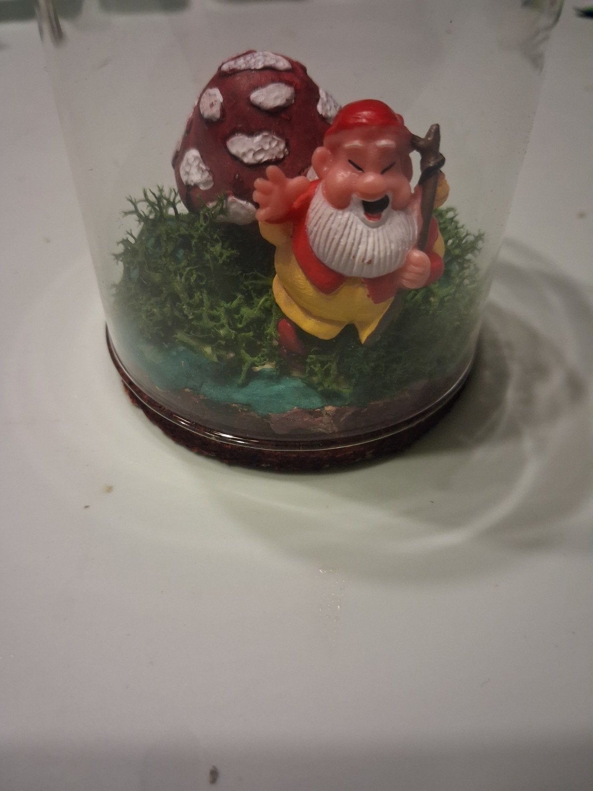 Kabouter en paddenstoel in glazen stolp, Ophalen, Nieuw