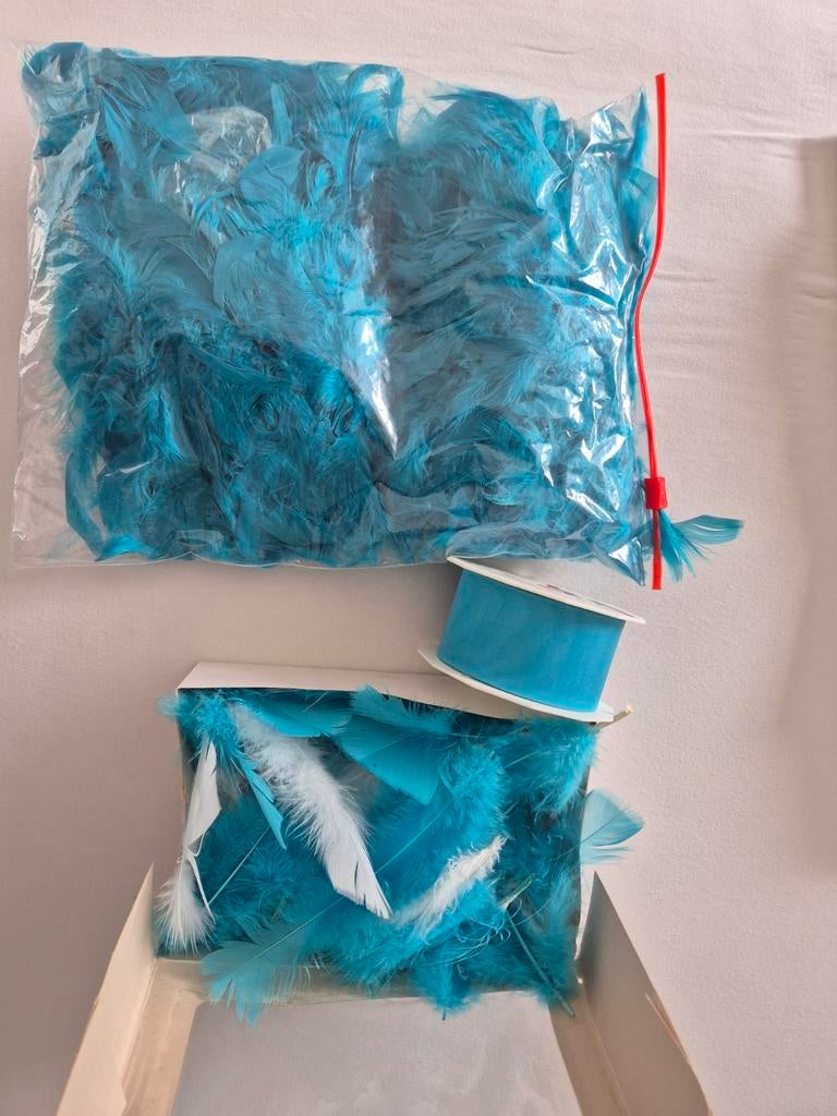 Blauwe en witten veren en lint voor knutselen, Hobby en Vrije tijd, Ophalen of Verzenden, Nieuw