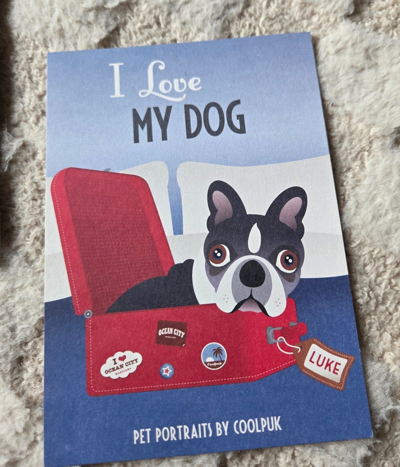 Ansichtkaart 'I Love My Dog' Boston Terrier Coolpuk, Verzenden, 1980 tot heden, Ongelopen, Hond of Kat