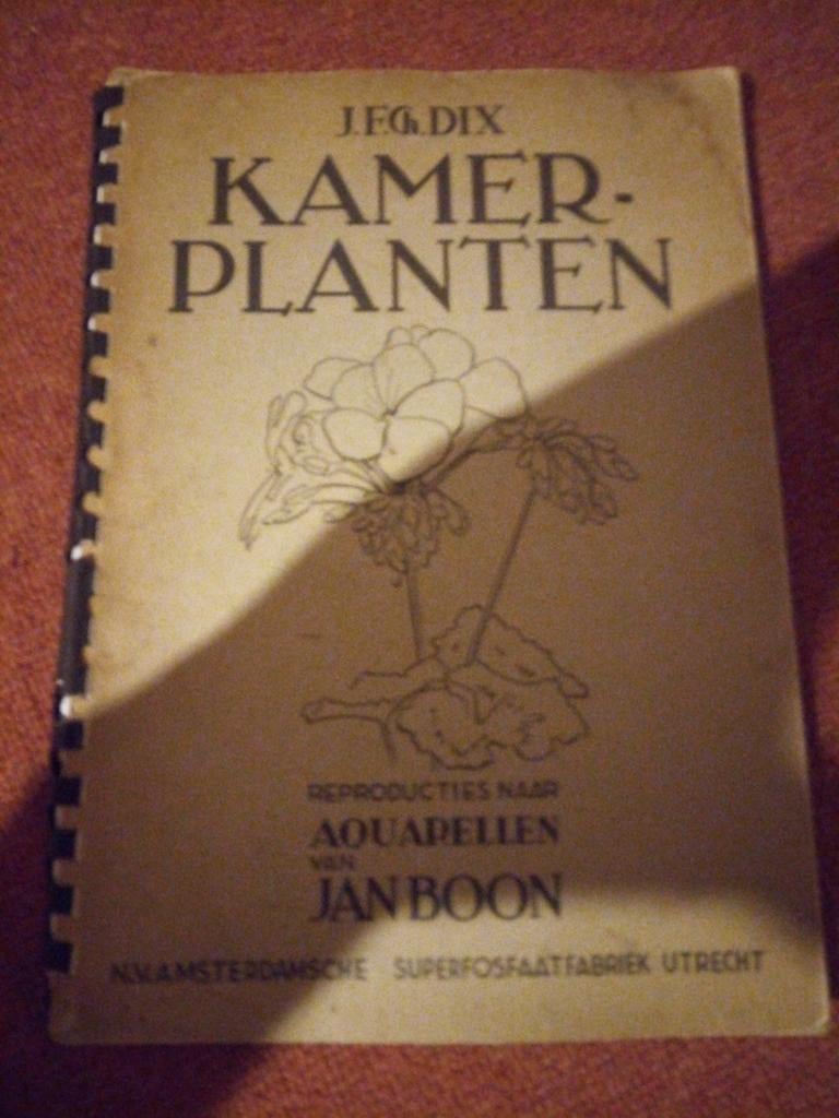 Kamerplanten - J.F.G. Dix & Jan Boon (Vintage), Verzenden, J.F.G. Dix, Jan Boon