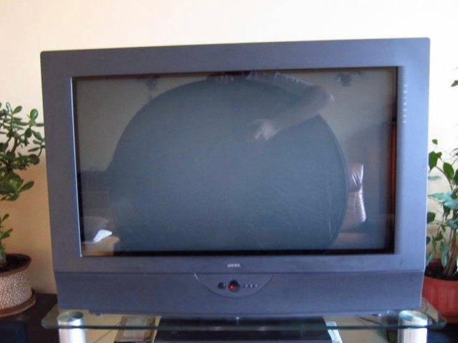 Loewe Acentos 3770ZW CRT Nintendo, Ophalen, Gebruikt