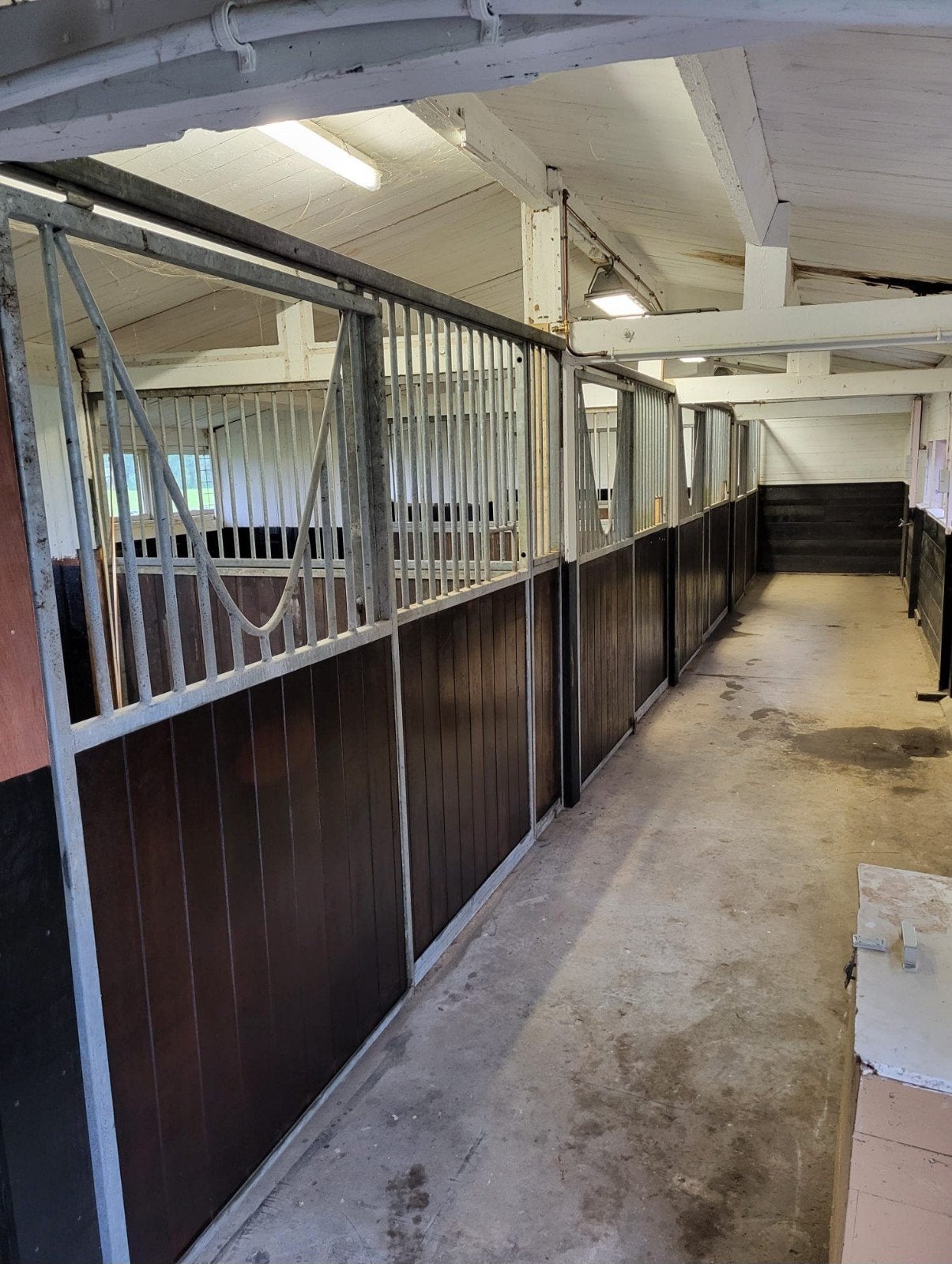 stalling te huur, Stalling, 4 paarden of pony's of meer