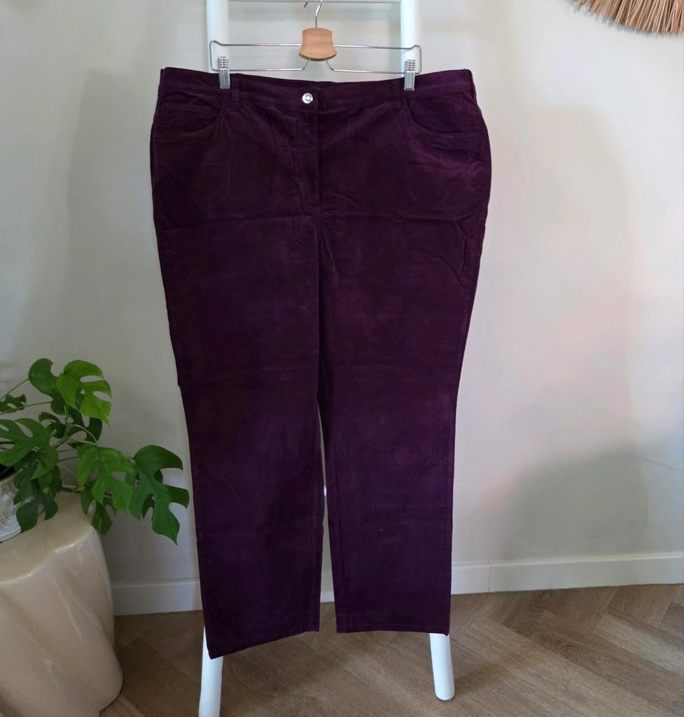 Paola! paarse velvet/fluwelen broek maat 54 magna atelier, Paars, Maat 46/48 (XL) of groter, Ophalen of Verzenden, Lang