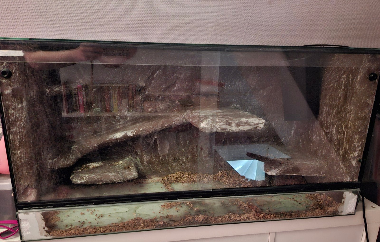 Terrarium 1 meter breed, Dieren en Toebehoren, Reptielen en Amfibieën | Toebehoren, Ophalen, Gebruikt, Terrarium of Paludarium