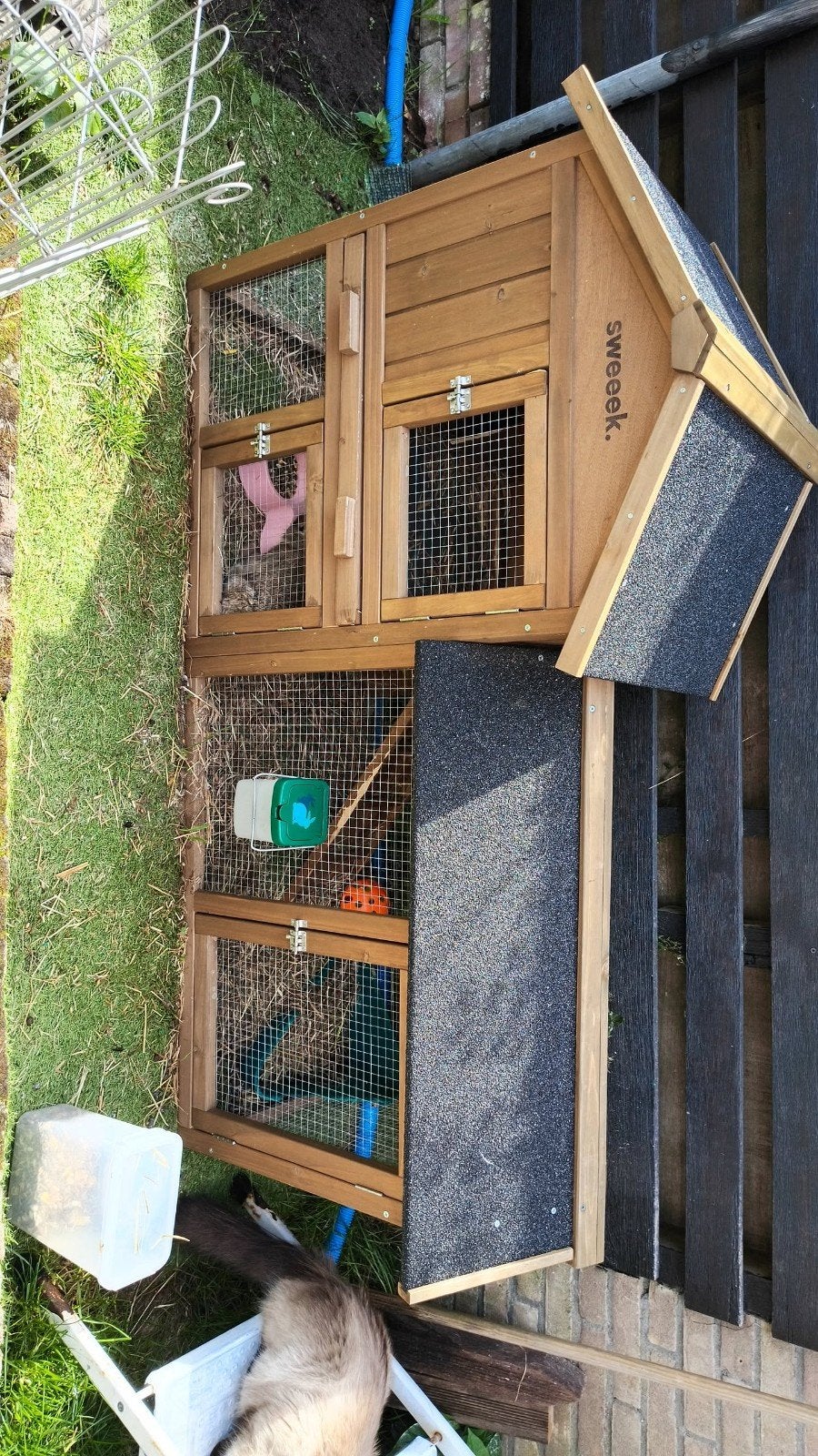 2 konijnen+ toebehoren twv €250+, Meerdere dieren