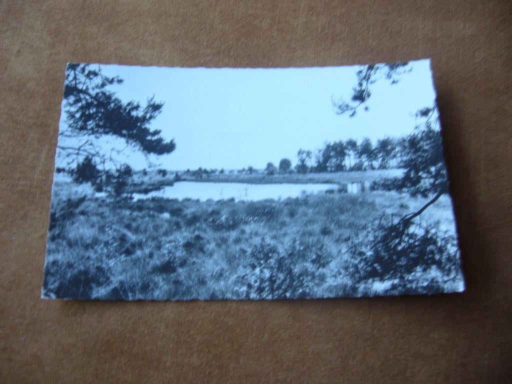 SPIER  =  BUNGALOWPARK T, VENNEGIEN, Ophalen of Verzenden, 1940 tot 1960, Gelopen, Drenthe
