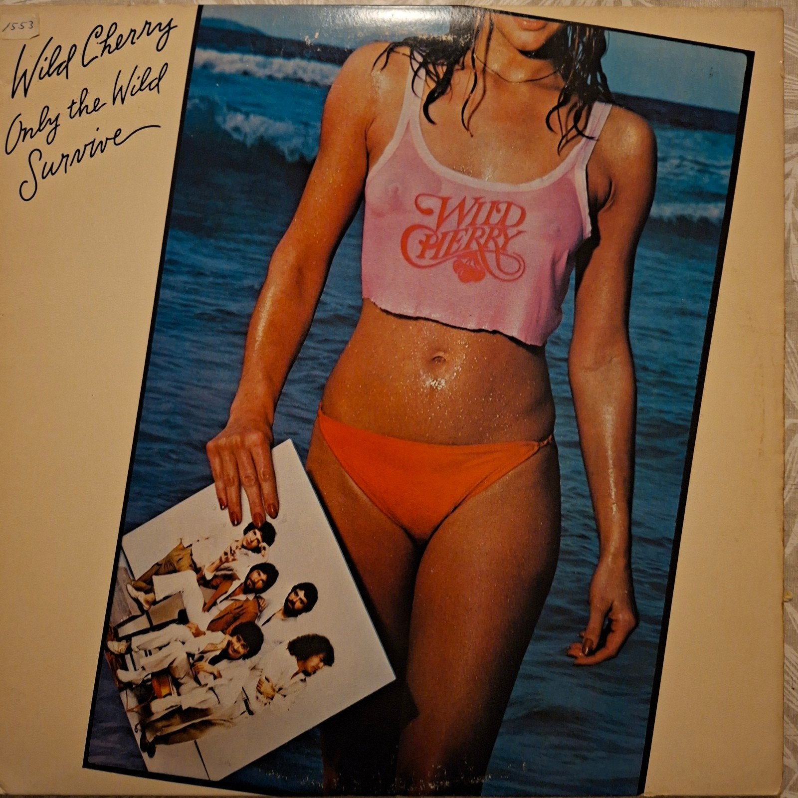 LP Wild Cherry - Only The Wild Survive, Ophalen of Verzenden, Zo goed als nieuw, 12 inch, LP