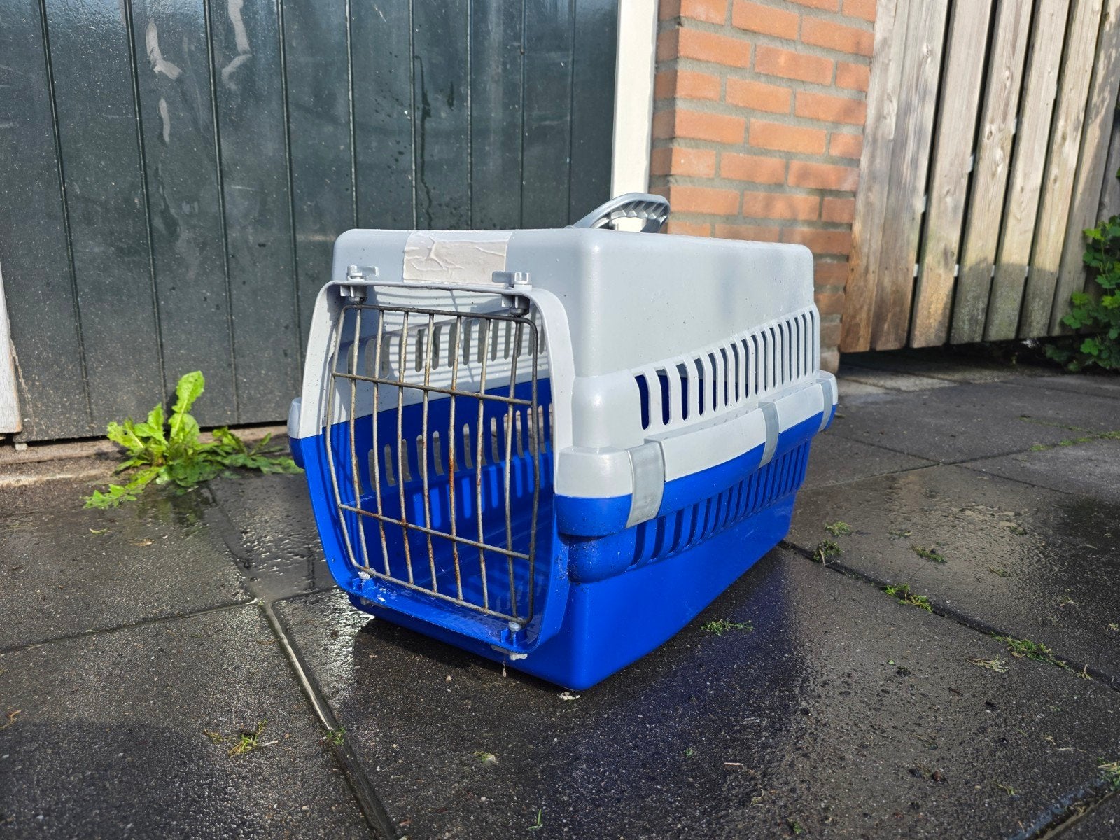 Reismand, transpotbox, Dieren en Toebehoren, Ophalen