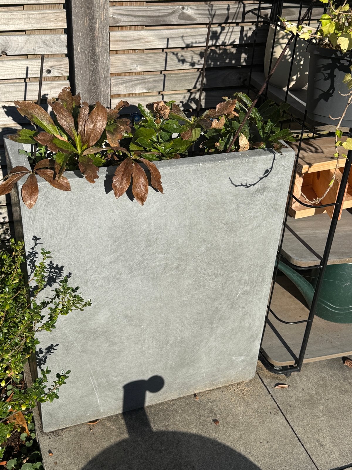 Bloempot Divider, Ophalen, Overige materialen, Gebruikt, 40 cm of meer