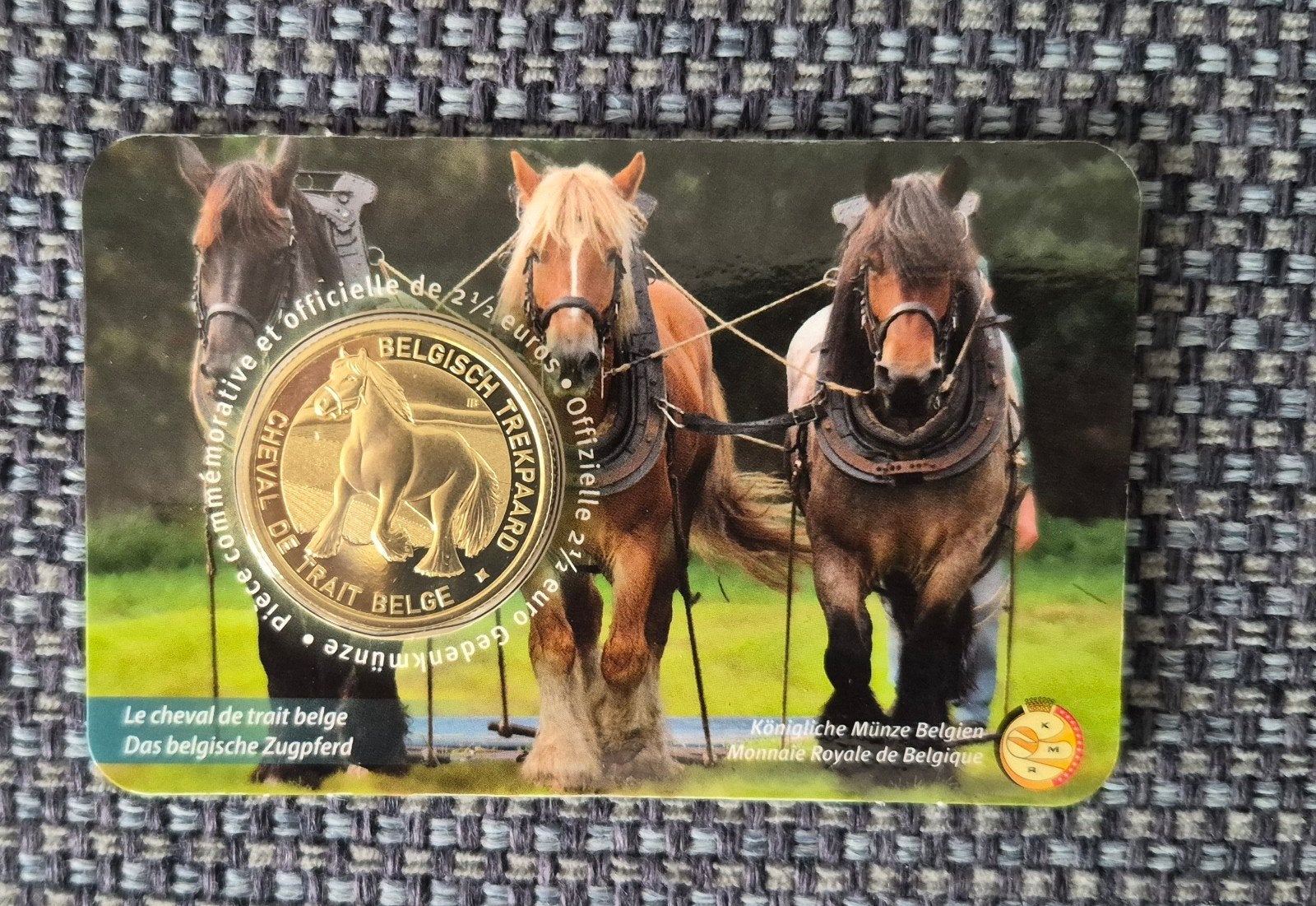 Belgisch trekpaard coincard, Ophalen