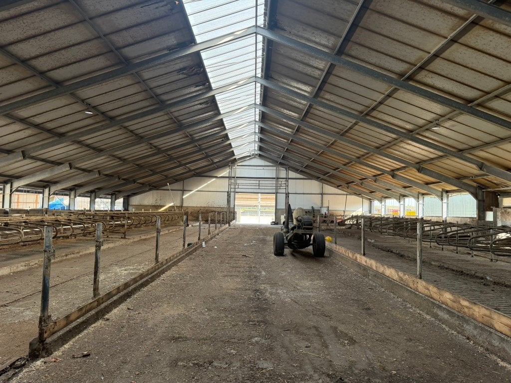 Staalconstructie  1.750 m² | 32x52 m | IPE spanten | Loods, Ophalen, Tot 1 ha, Melkveehouderij