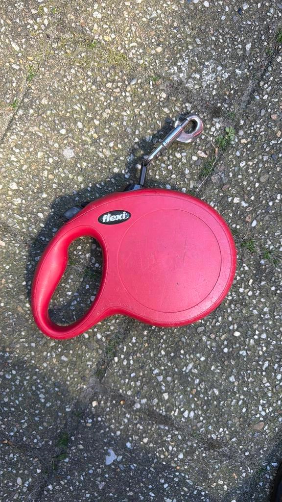 Flexi riem L 8m, Ophalen, Zo goed als nieuw