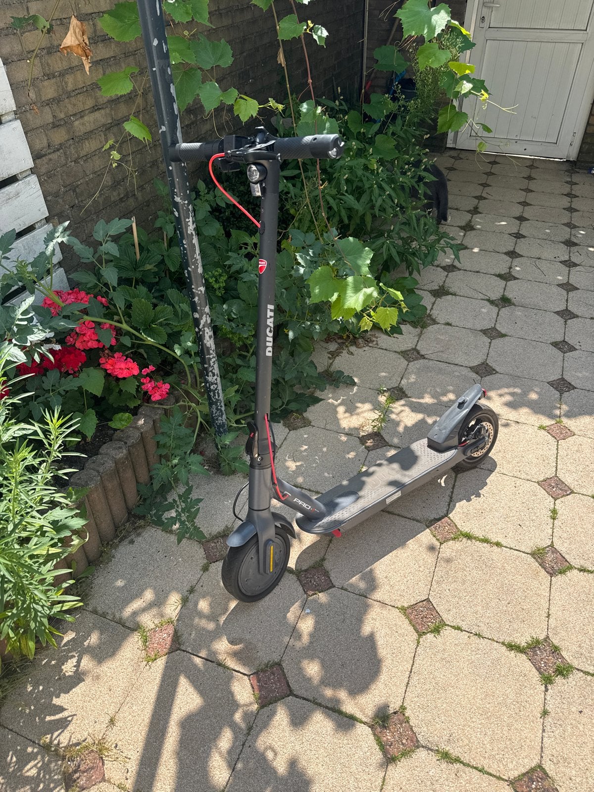 Ducati Pro-I Evo elektrische step, Ophalen, Gebruikt, Elektrische step (E-scooter)