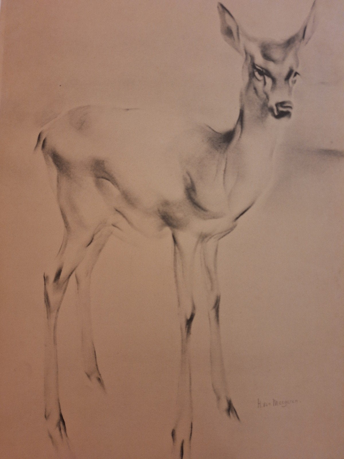 Lithografie Hertje Han van Meegeren, Antiek en Kunst, Ophalen of Verzenden, Flora en Fauna, Origineel, Lithografie