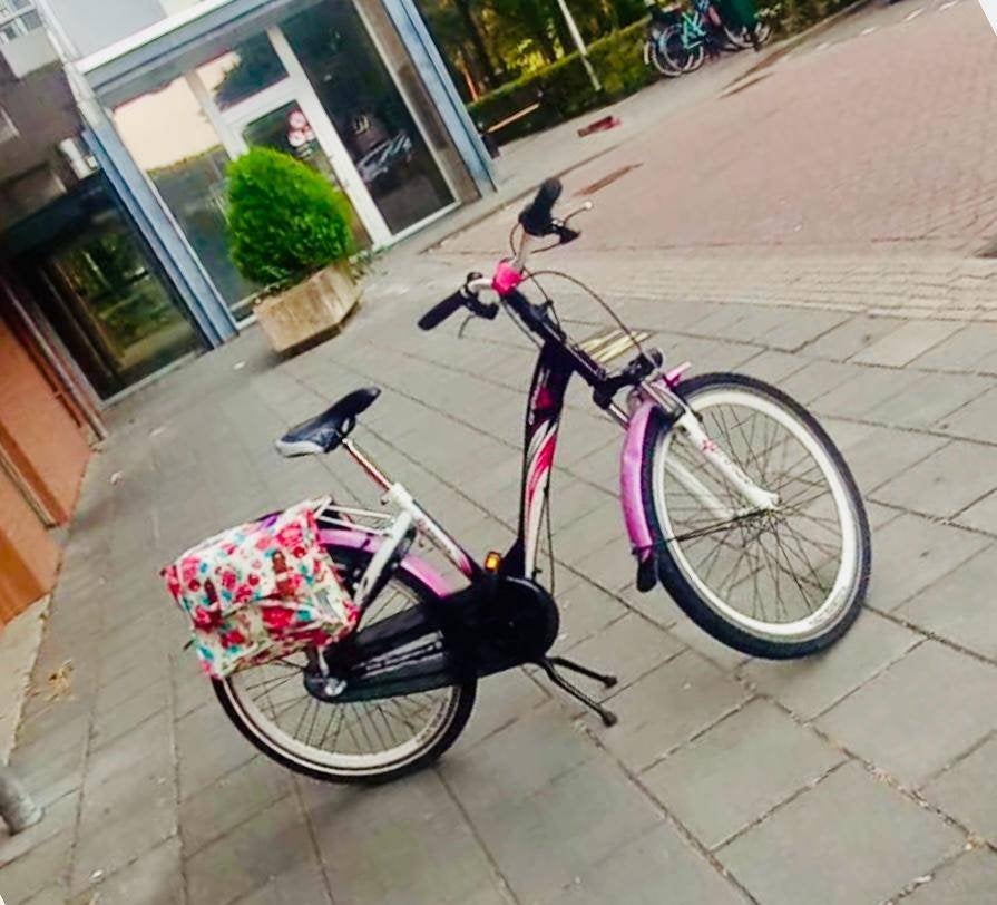 Meisjes fiets, Ophalen, Handrem, Schijfrem, Gebruikt