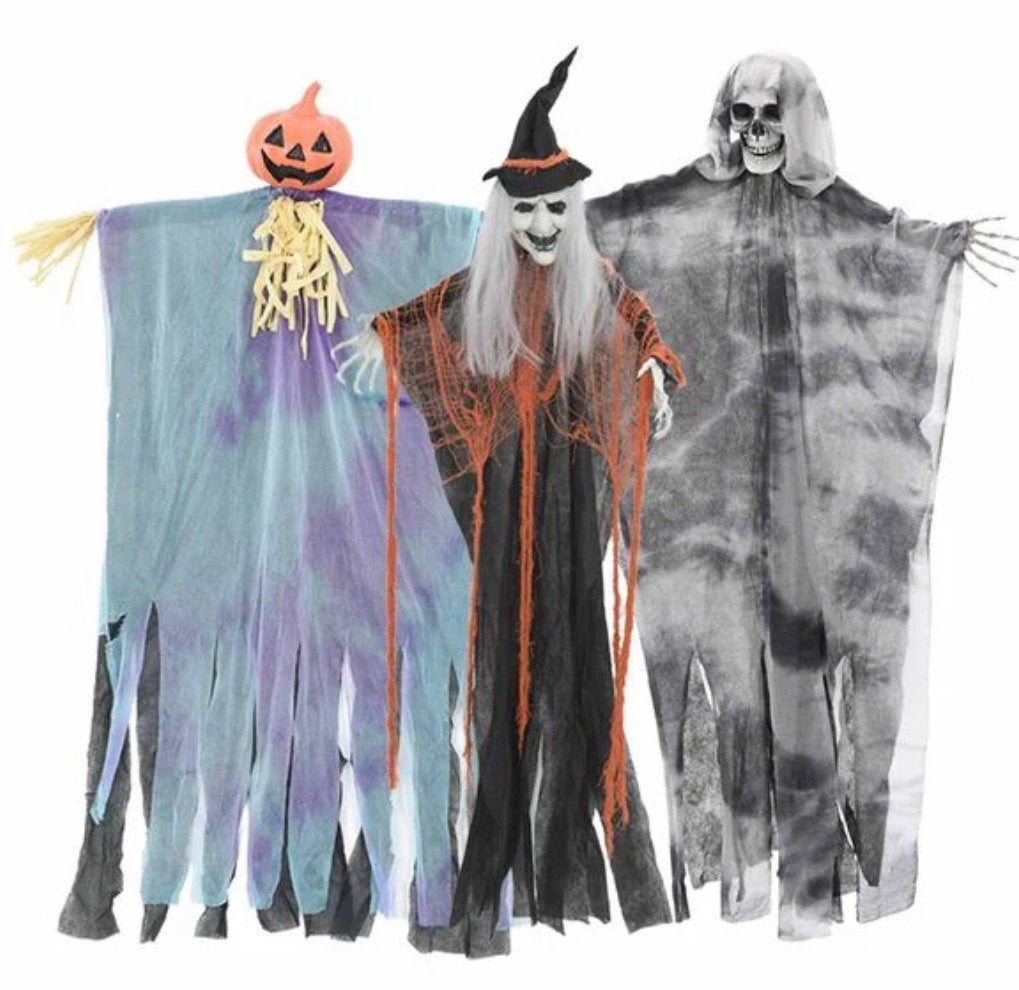 GEZOCHT GRATIS HALLOWEEN DECORATIE/VERSIERING VOOR BUITEN, Ophalen of Verzenden, Zo goed als nieuw, Halloween of Griezel