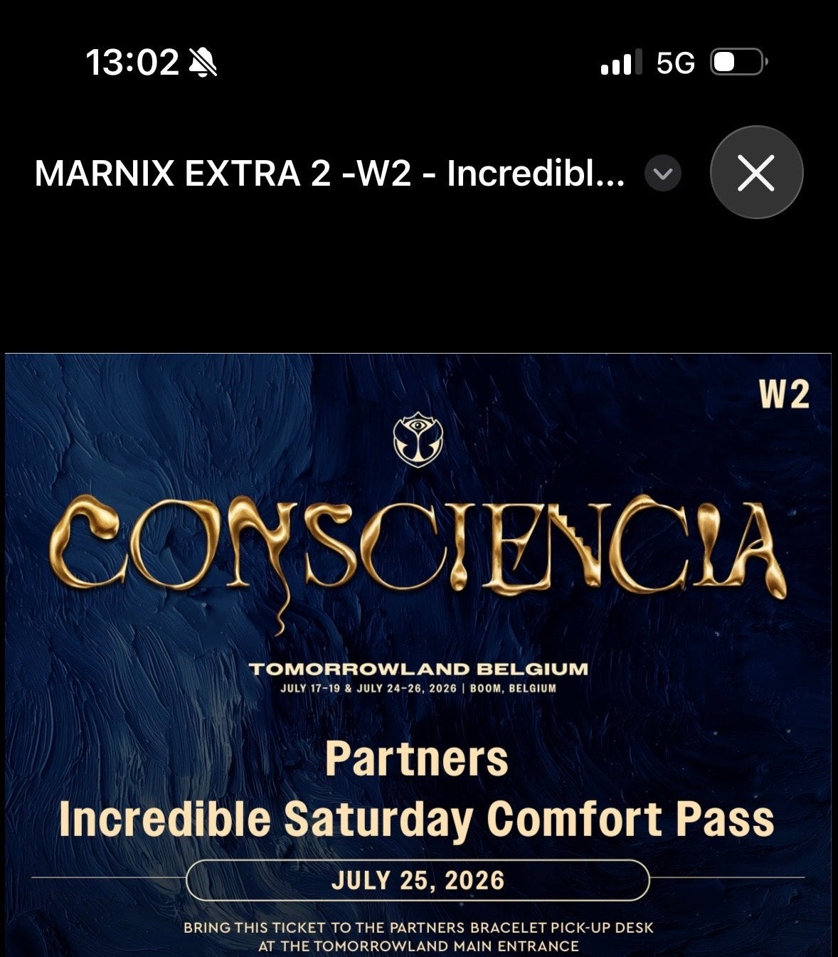 Tommorowland vip, Tickets en Kaartjes, Evenementen en Festivals, Eén persoon