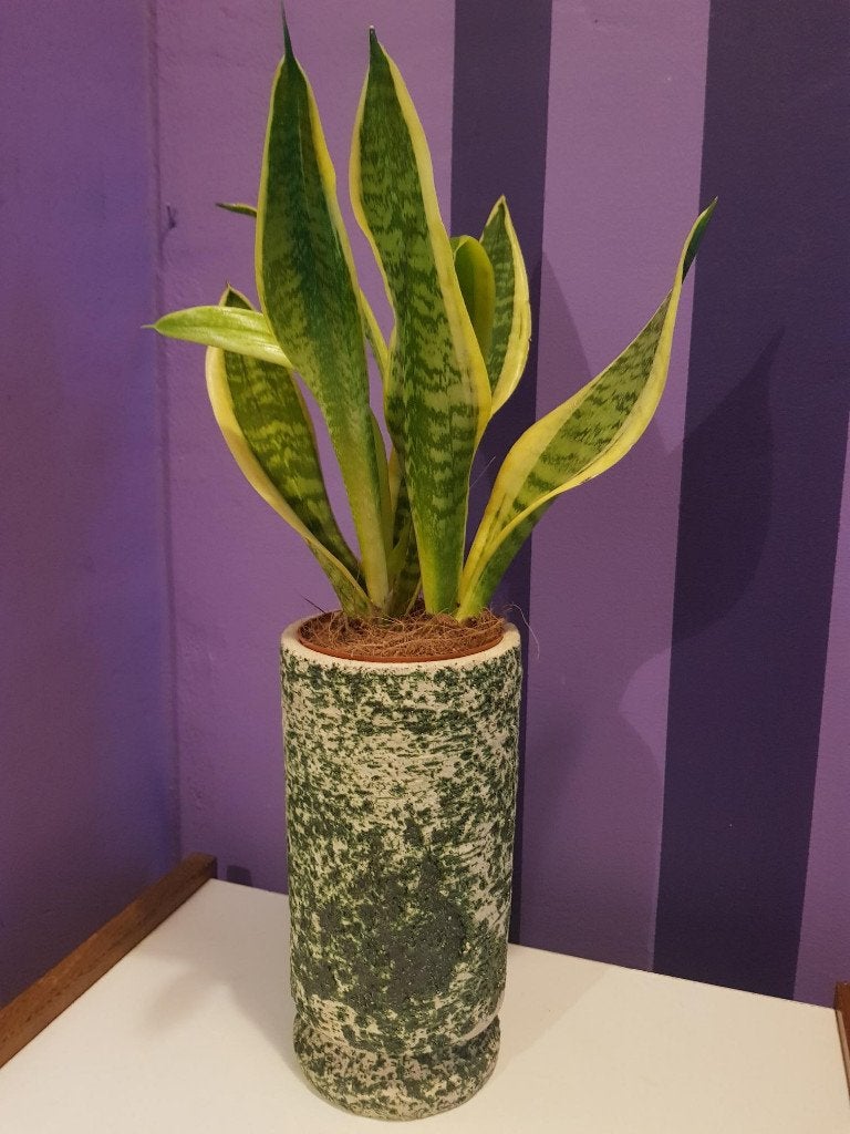 Retro Vintage berkenbast bloempot plantenpot bloem pot, Ophalen, Overige materialen, Gebruikt, Rond