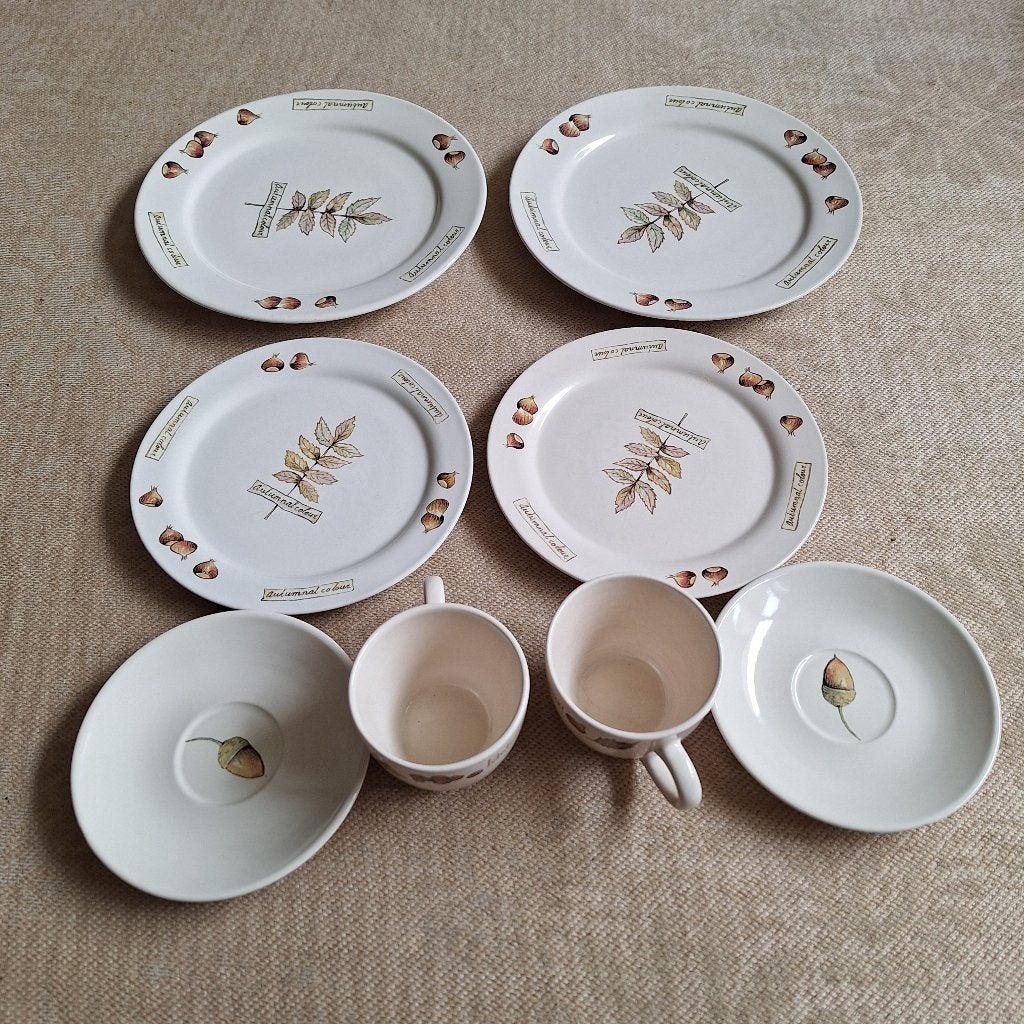 Jet ter Steege servies, Ophalen of Verzenden, Zo goed als nieuw, Landelijk/Boerenbont, Overige typen
