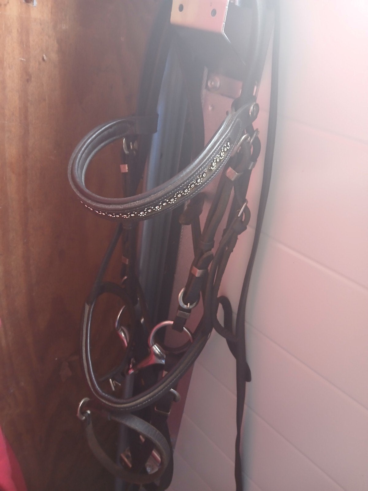 Hoofdstel maat cob, Dieren en Toebehoren, Paarden en Pony's | Hoofdstellen en Tuigage, Hoofdstel, Inclusief teugels, Ophalen of Verzenden