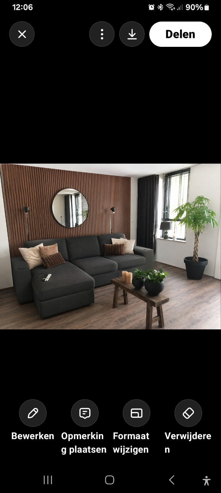 Geldboom (Pachira Aquatica) met pot, Huis en Inrichting, Ophalen, 100 tot 150 cm, Overige soorten, Halfschaduw