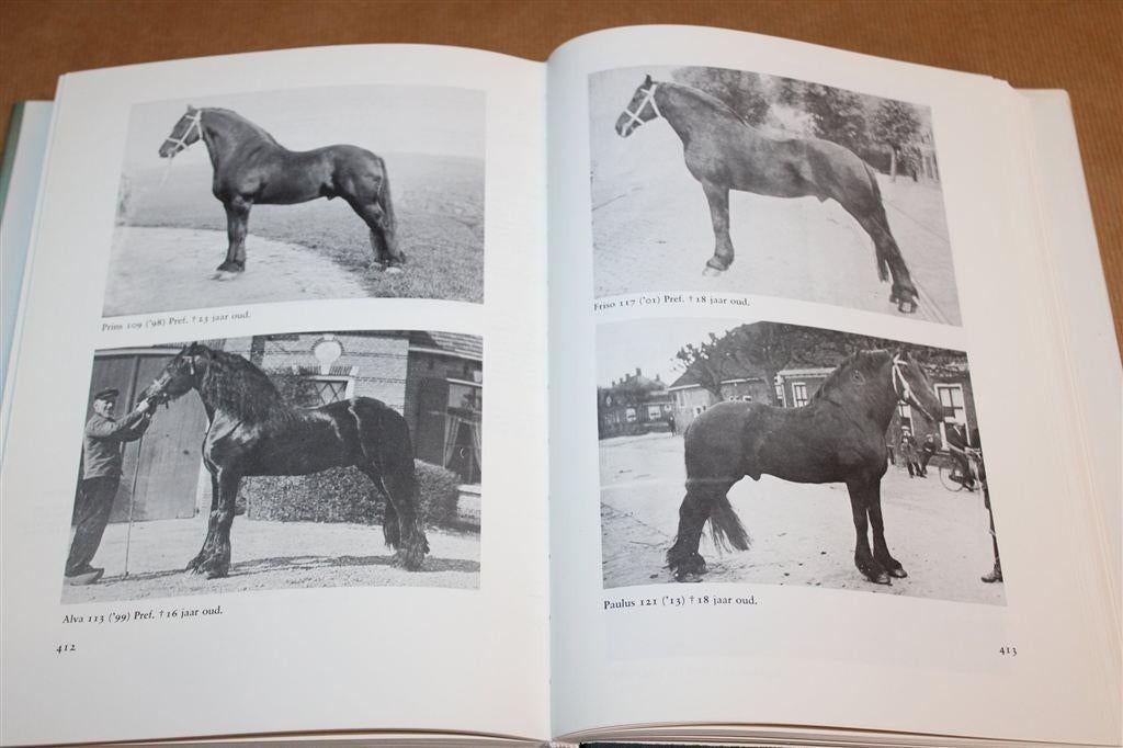Het Friese Paard — G.J.A. Bouma — Standaardwerk, Ophalen of Verzenden, Zo goed als nieuw, Paarden of Pony's