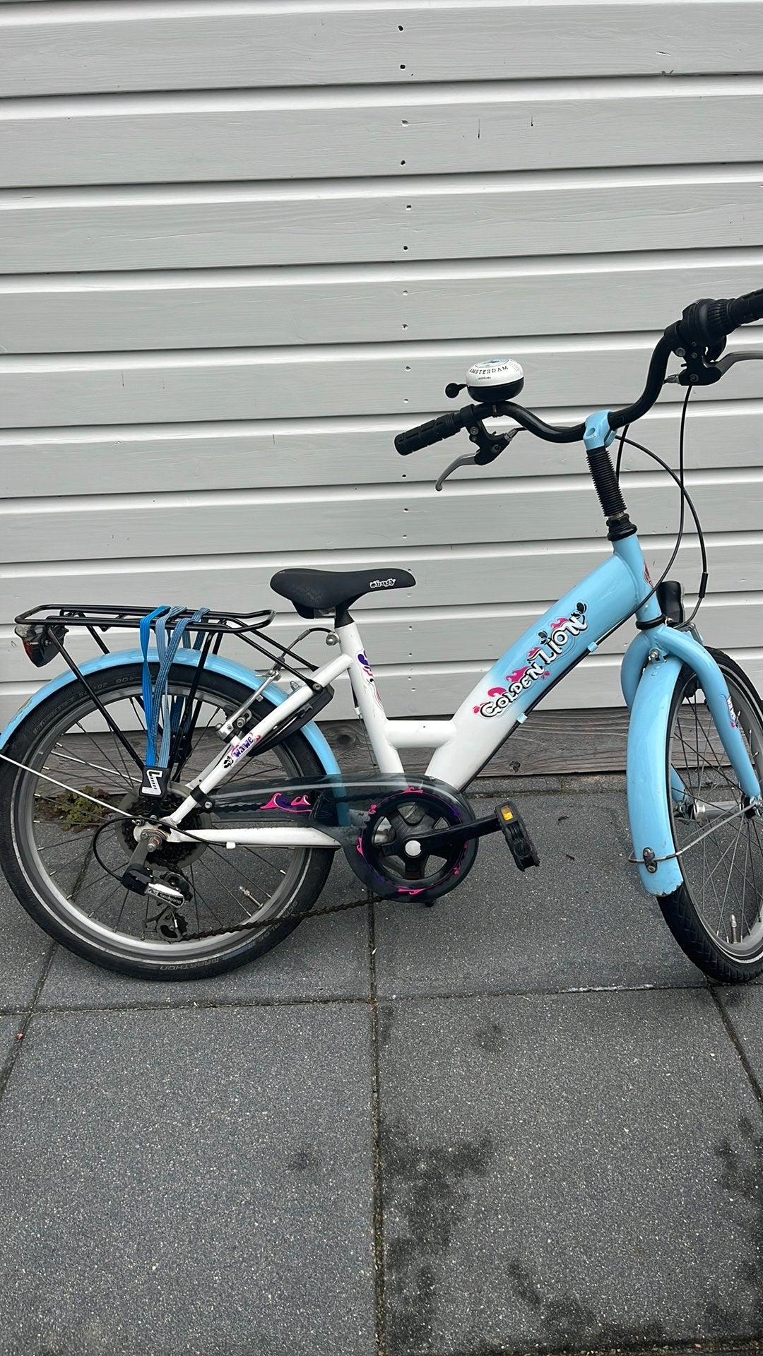 Golden Lion 20 inch kinderfiets met 6 versnellingen, Ophalen, Gebruikt, 20 inch of meer