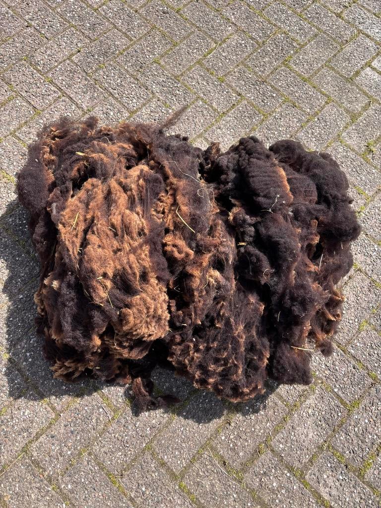 Schapenwol van Nederlandse bonte schapen, Ophalen, Nieuw, Overige kleuren, Wol
