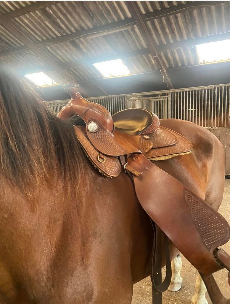 Westernzadel van Deuber & Partner Germany, Dieren en Toebehoren, Paarden en Pony's | Zadels, Gebruikt, Western, Ophalen of Verzenden