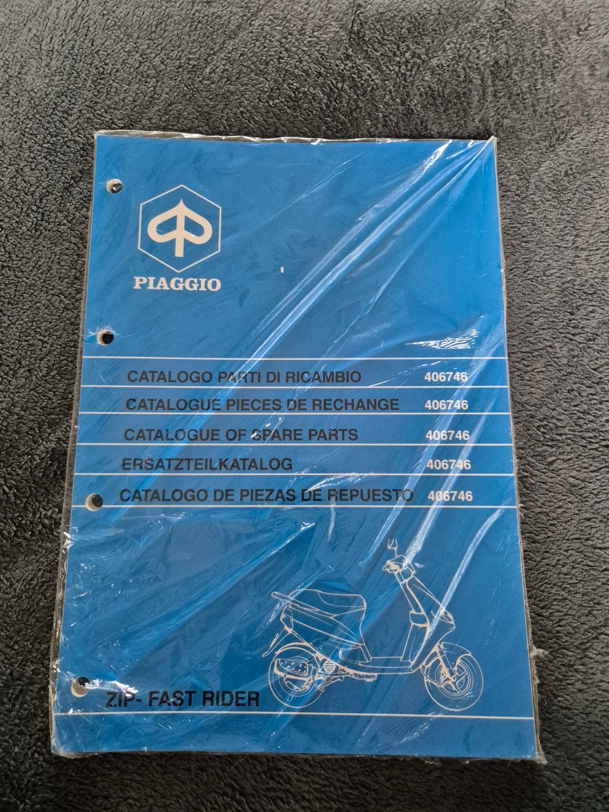 Piaggio zip Fast Rider werkhandboek Handleiding, Ophalen of Verzenden, Nieuw, Piaggio
