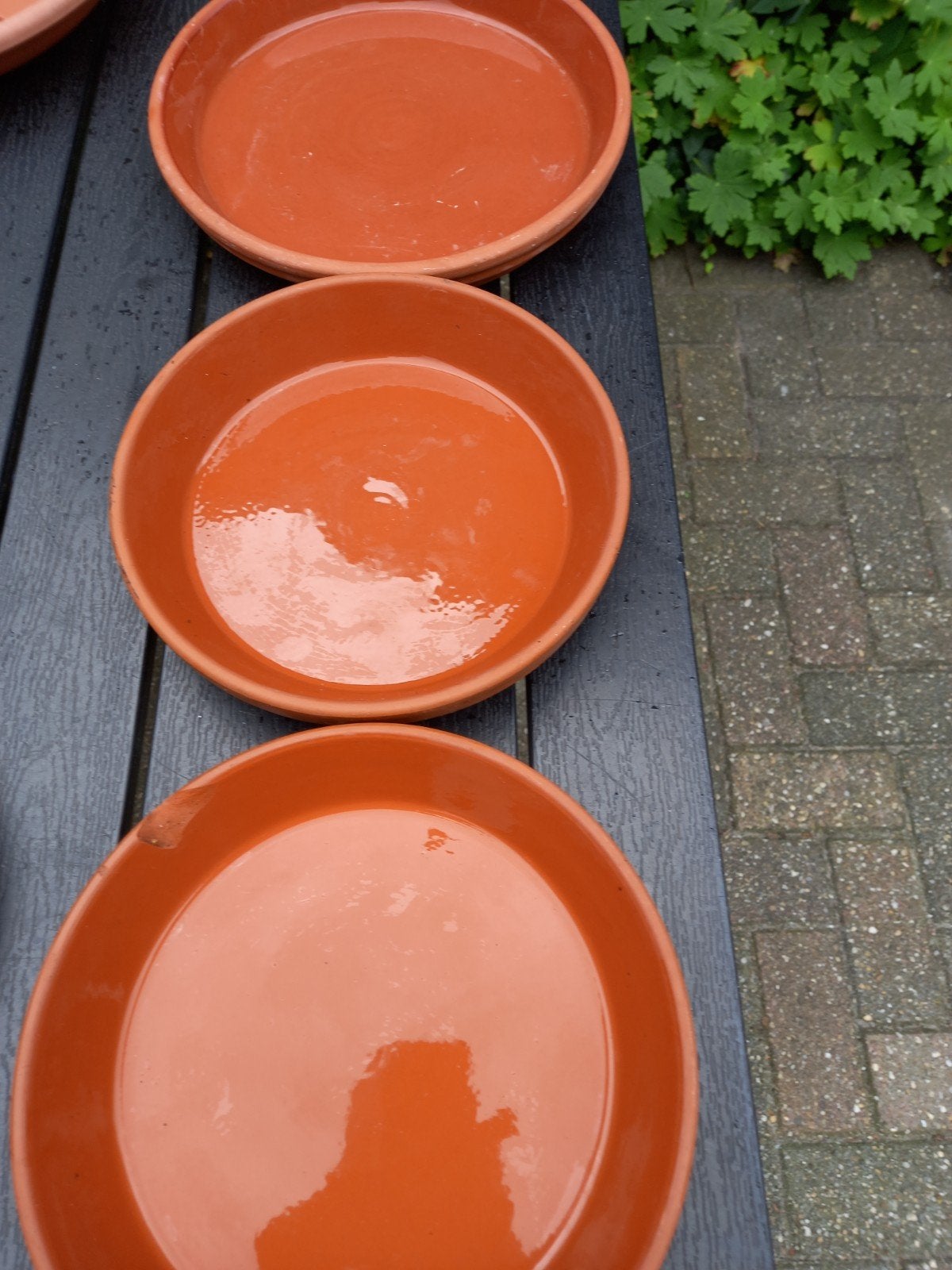 Verschillende planten schotels, 25 tot 40 cm, Rond, Ophalen of Verzenden, Minder dan 40 cm