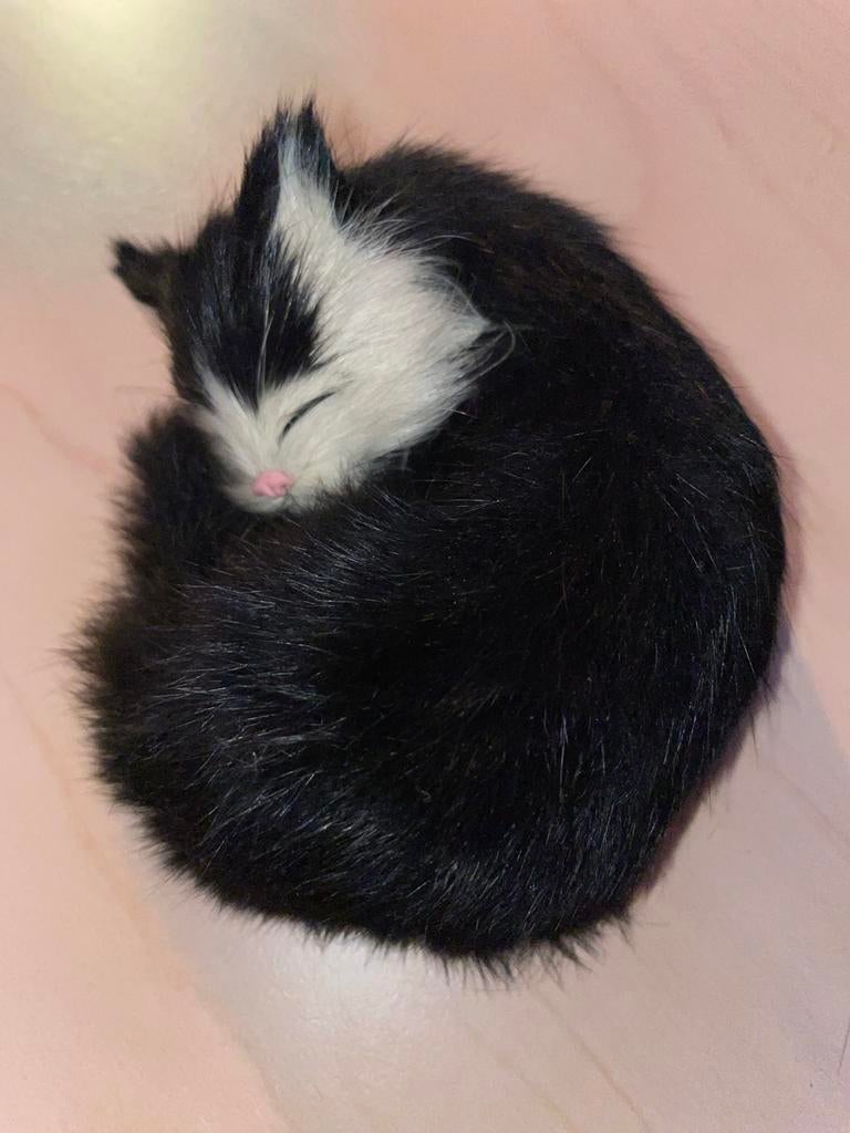 Schattig knuffel slapende kitten van konijnenbont, Zwart, Ophalen of Verzenden, Zo goed als nieuw, Kat