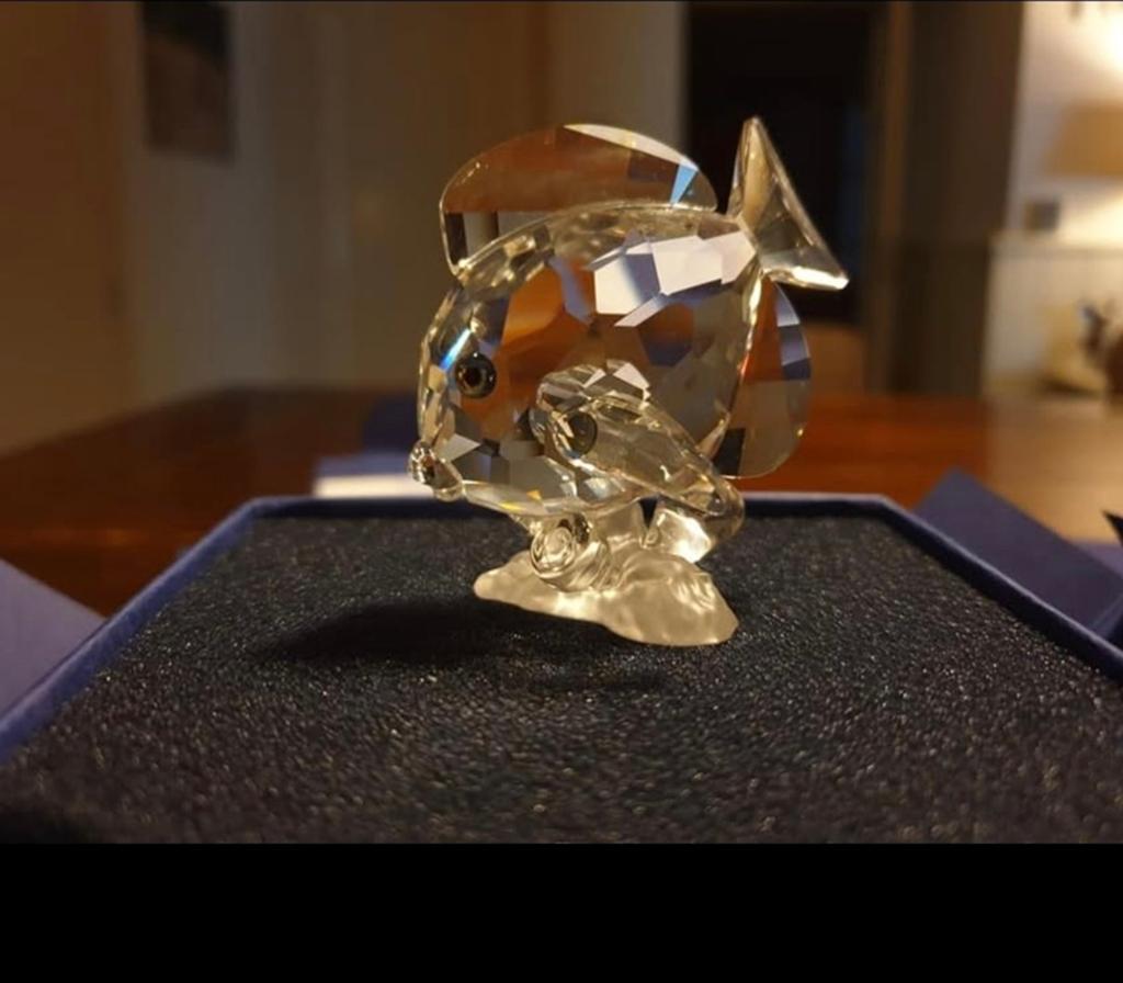 Doktersvis helder 2007, Verzamelen, Swarovski, Ophalen of Verzenden, Nieuw, Figuurtje