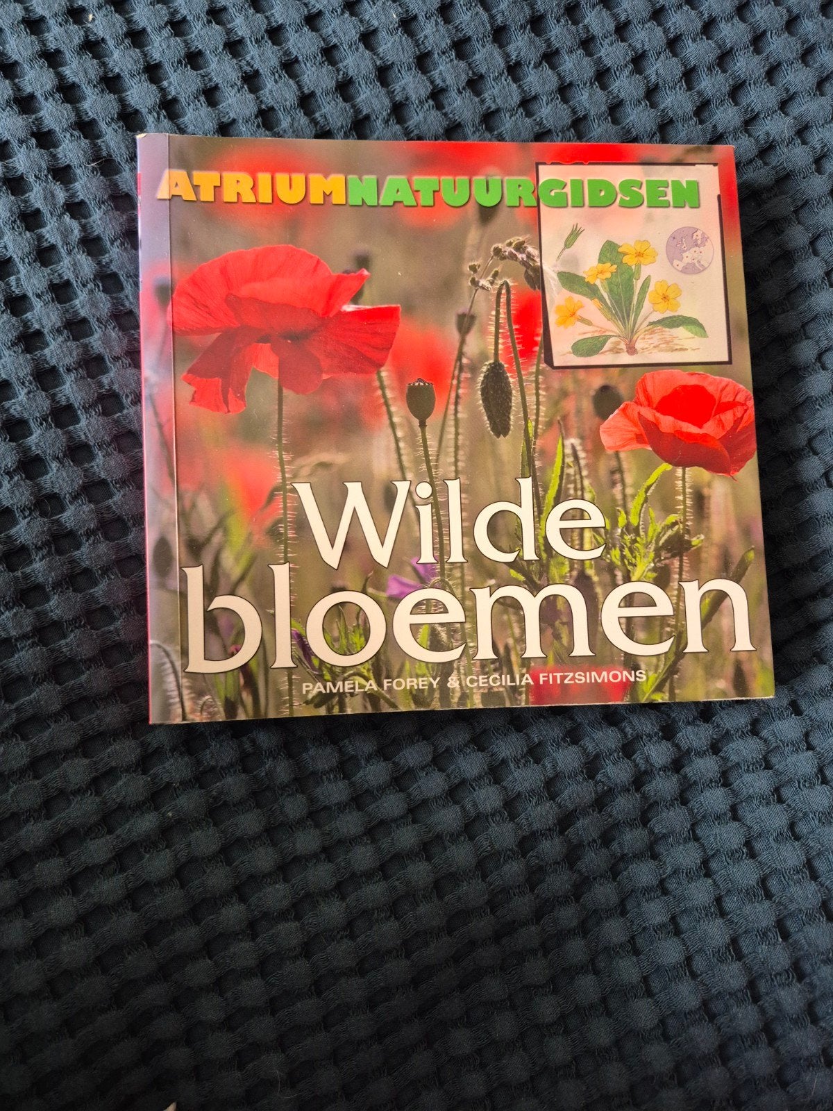 Atrium Natuurgidsen: Wilde Bloemen, Boeken, Natuur, Ophalen of Verzenden