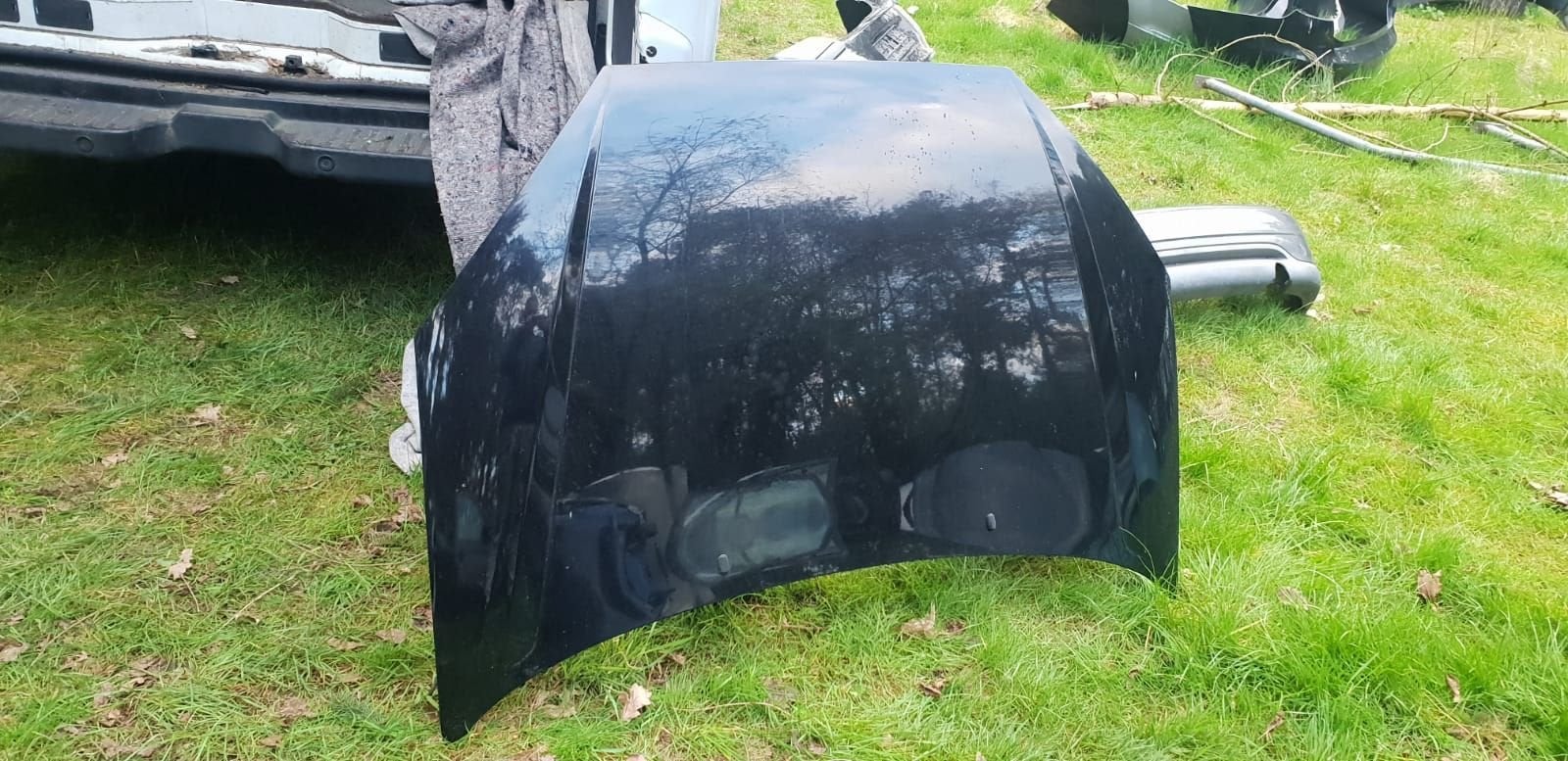 FORD FOCUS MOTORKAP BJ 98 TOT 2004, Gebruikt, -, -, Ophalen of Verzenden