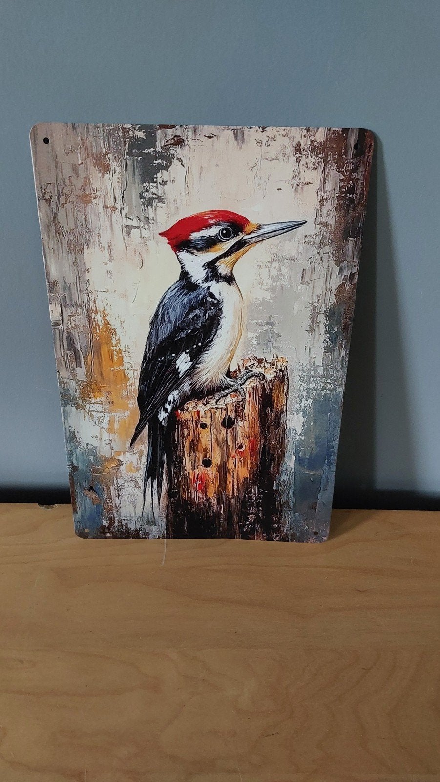 Decoratief bord met specht - 20x30cm, Huis en Inrichting, Metaal, 30 cm, 20 cm, Ophalen of Verzenden