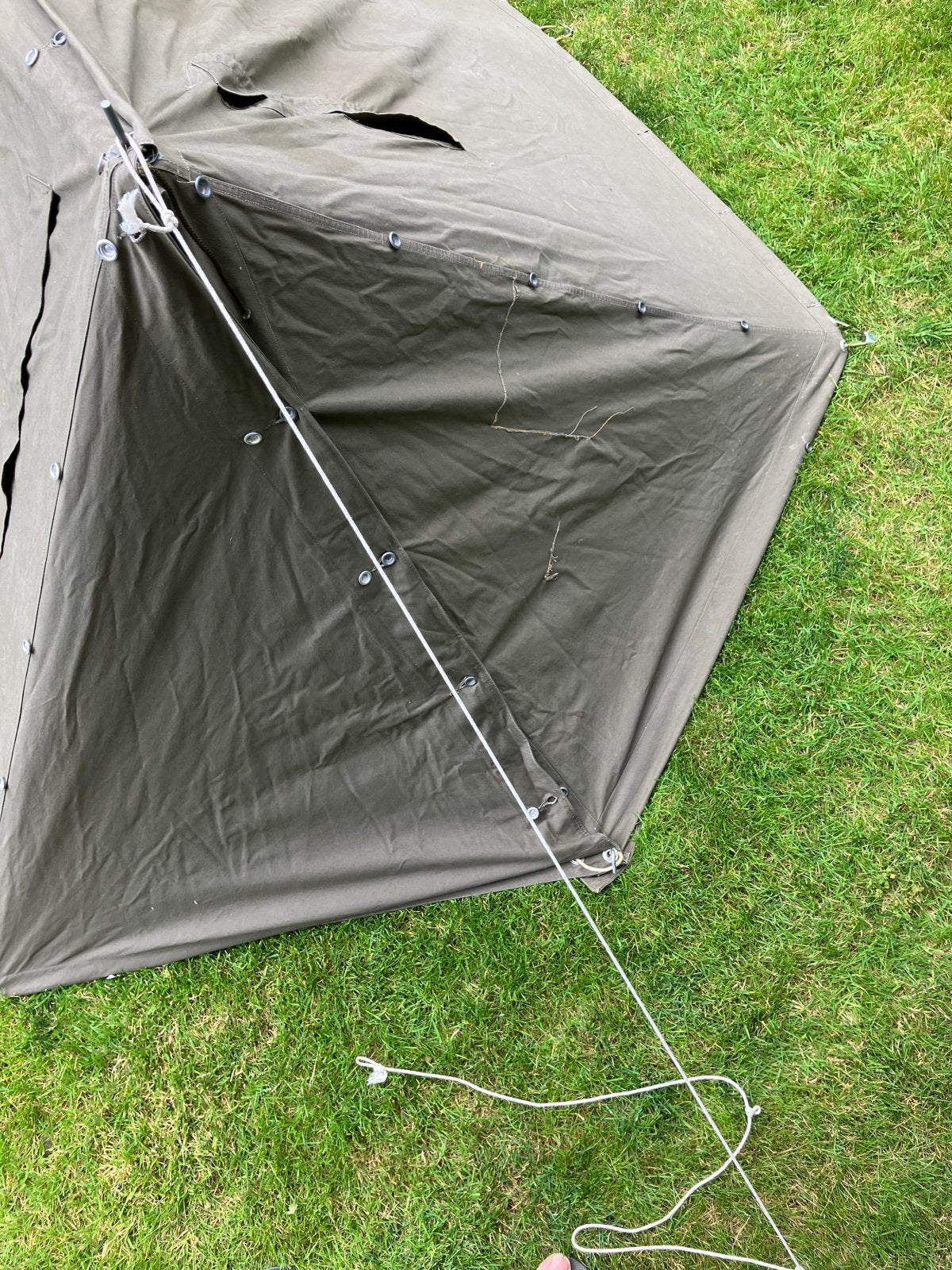 USA Pup Tent - Multifunctioneel en Compact, Ophalen of Verzenden, Gebruikt, Tot en met 2