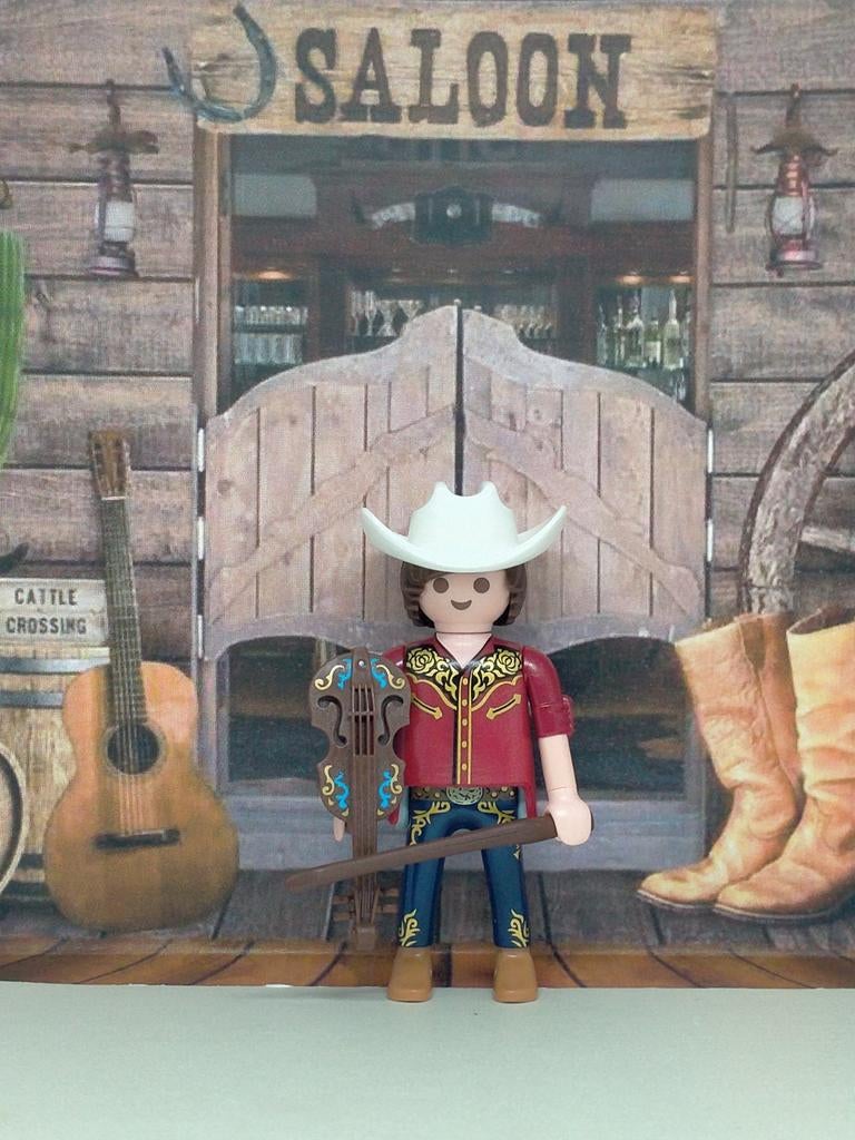 NIEUW COUNTRYVIOLIST, Ophalen of Verzenden, Nieuw