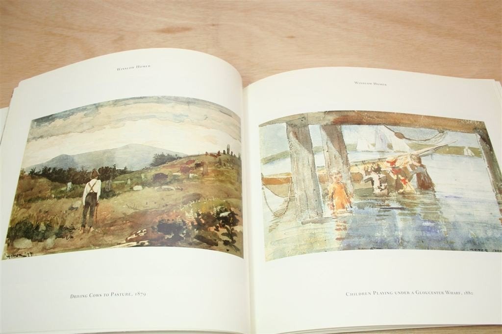 Rijk aan Kleur — Grote Amerikaanse Aquarellen, Boeken, Ophalen of Verzenden, Zo goed als nieuw