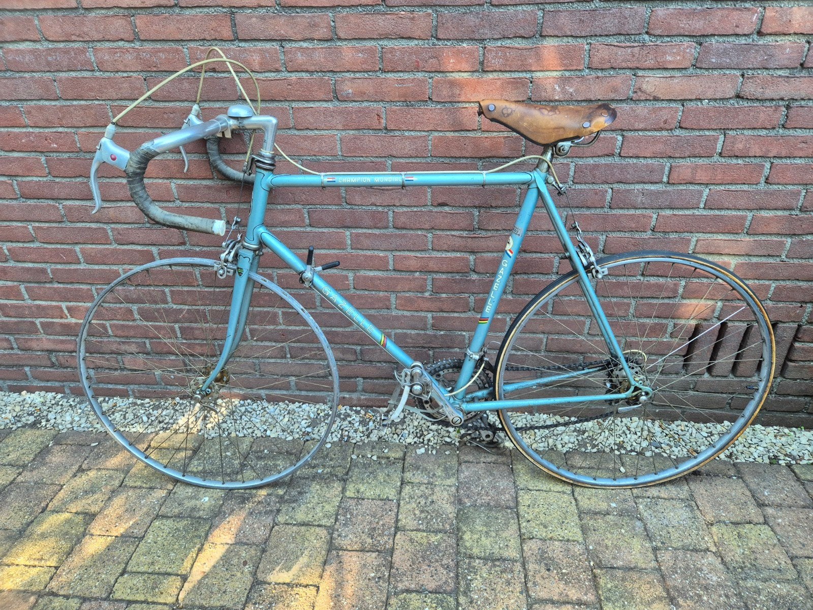 champion mondial racefiets, 55 tot 59 cm, Ophalen