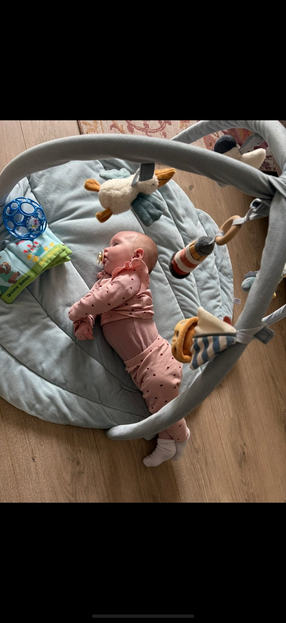 Little Dutch Babygym - Zo goed als nieuw, Ophalen, Zo goed als nieuw, Babygym