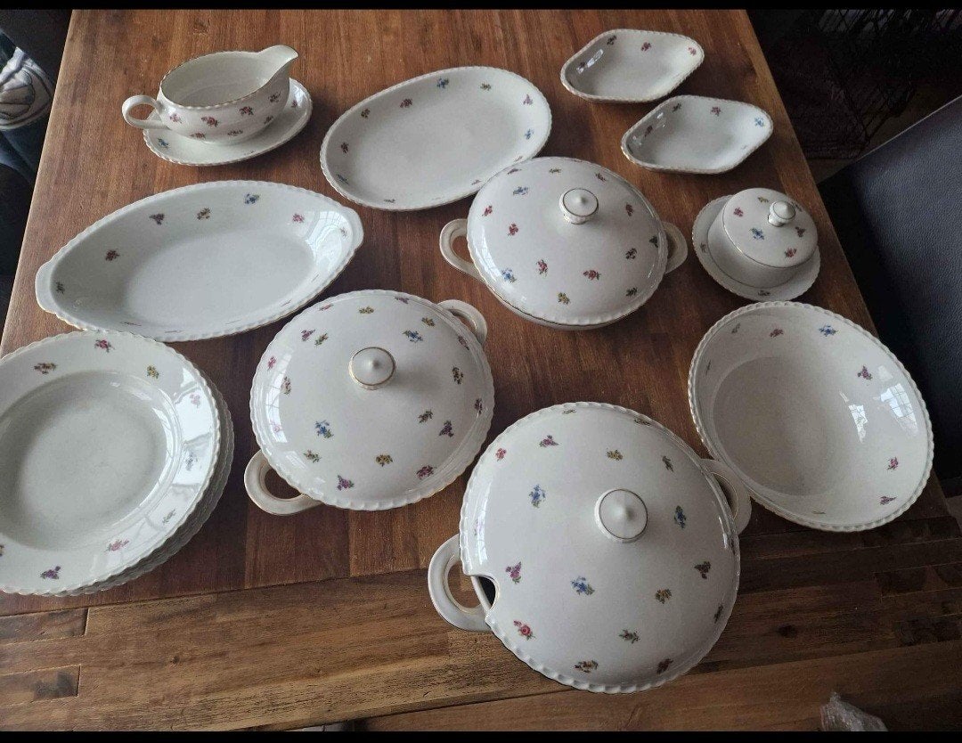 Winterling Bavaria  marktleuthen  rosemary servies r, Ophalen of Verzenden, Porselein, Overige stijlen