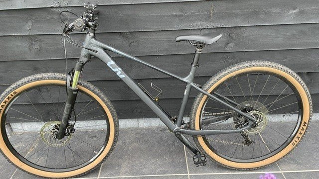 MTB Dames 29 Inch Maat L, Ophalen, Hardtail, Nieuw, 49 tot 53 cm