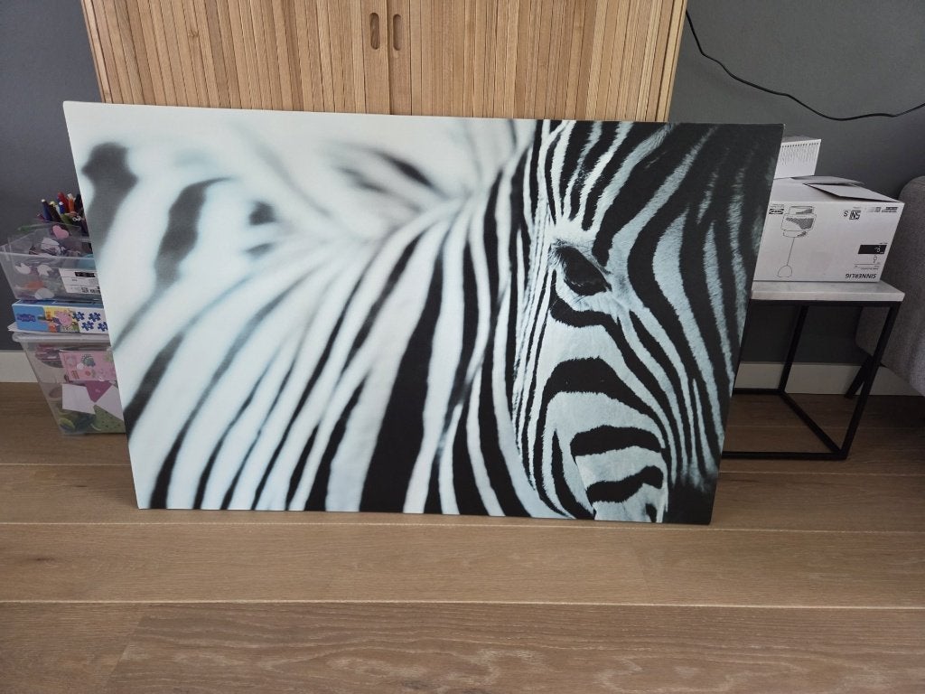 Schilderij Zebra Ikea, Ophalen, Gebruikt, 100 tot 125 cm, Schilderij
