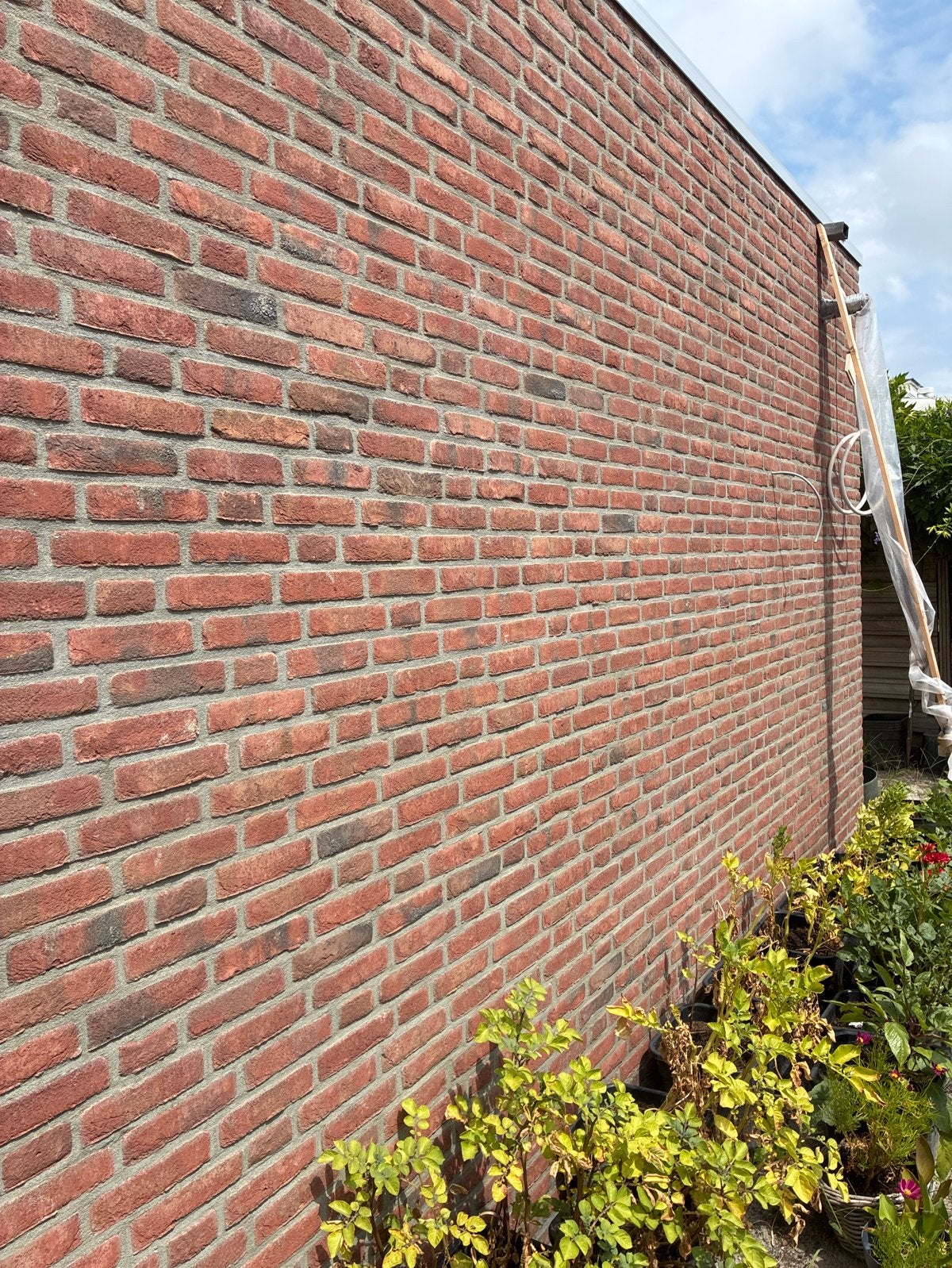 Metselwerk stenen te koop - Nieuwe bakstenen, Ophalen, Nieuw, Bakstenen